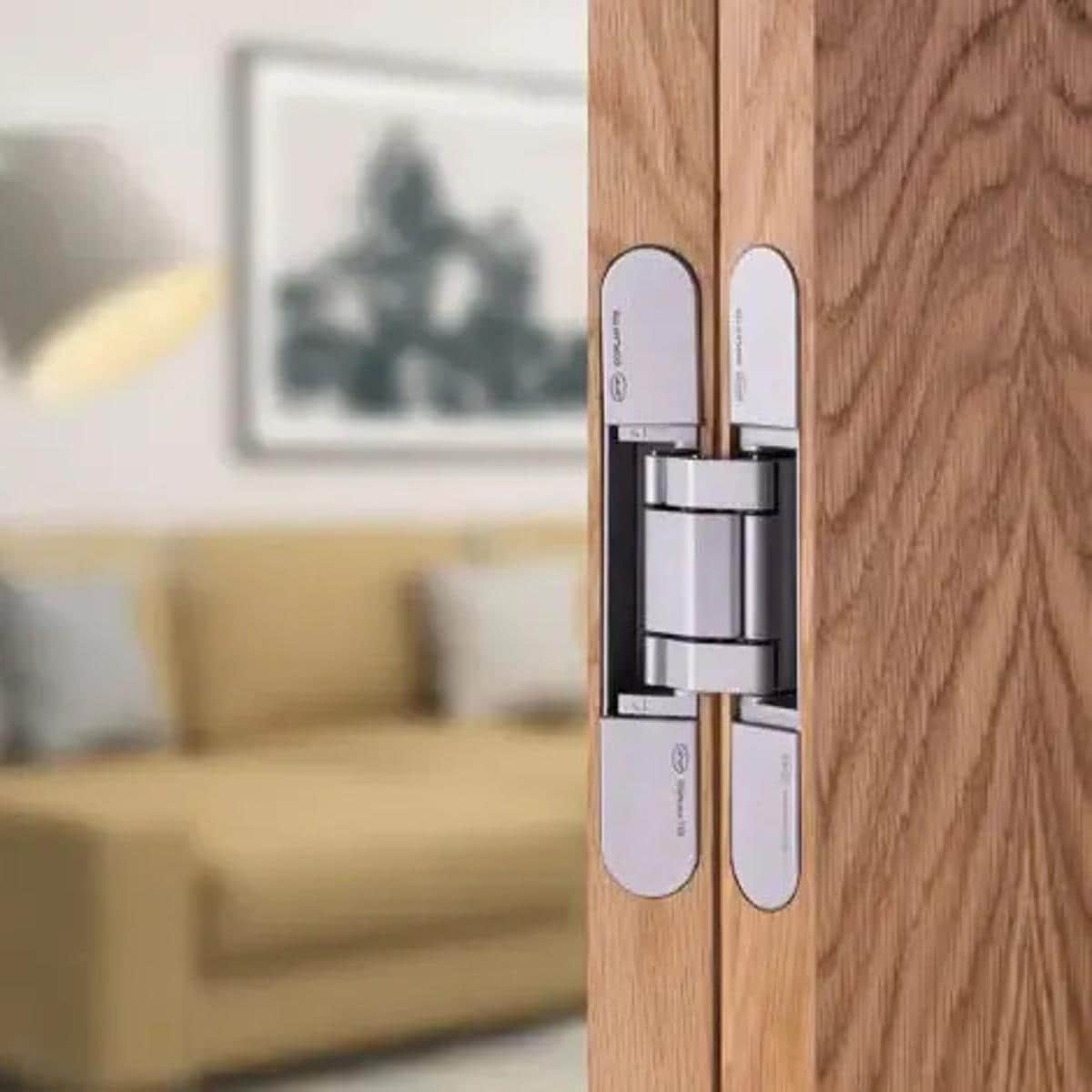 JNF IN.05.063 Entry-Door-Hinges - View #3