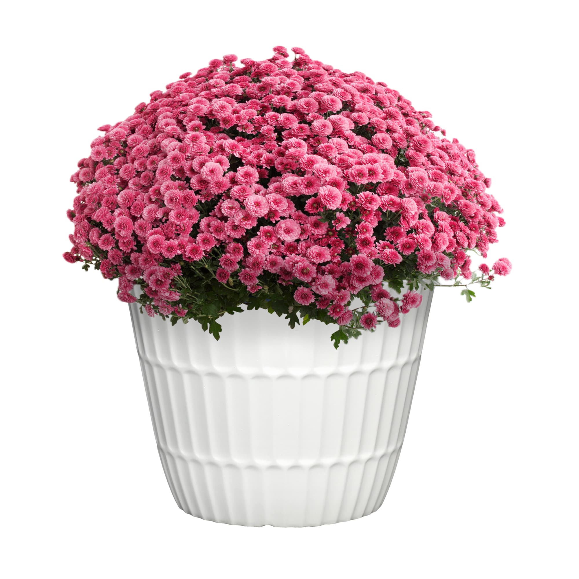 Style Selections PLG1709PWG Planter-Window-Box - View #3