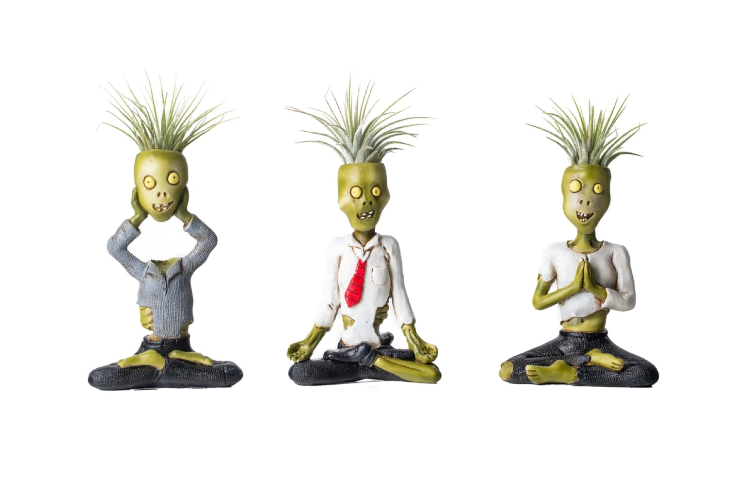 LiveTrends 050462 MASTE DEAD - Air Plant House plant in 1 Pack Pot 1.0 -Pack