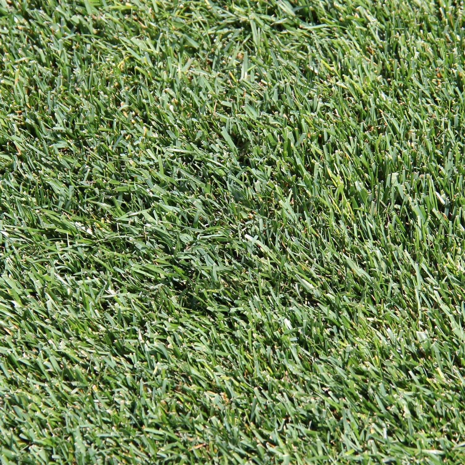 Pennington 2149637000 Lawn-Repair-Mix - View #6