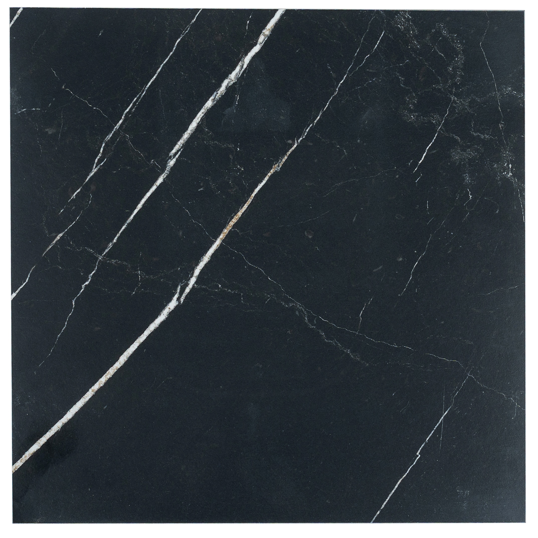 Apollo Tile Sample - Regalia Nero Black 4-in x 5-in Matte Porcelain Marble look Floor and Wall Tile