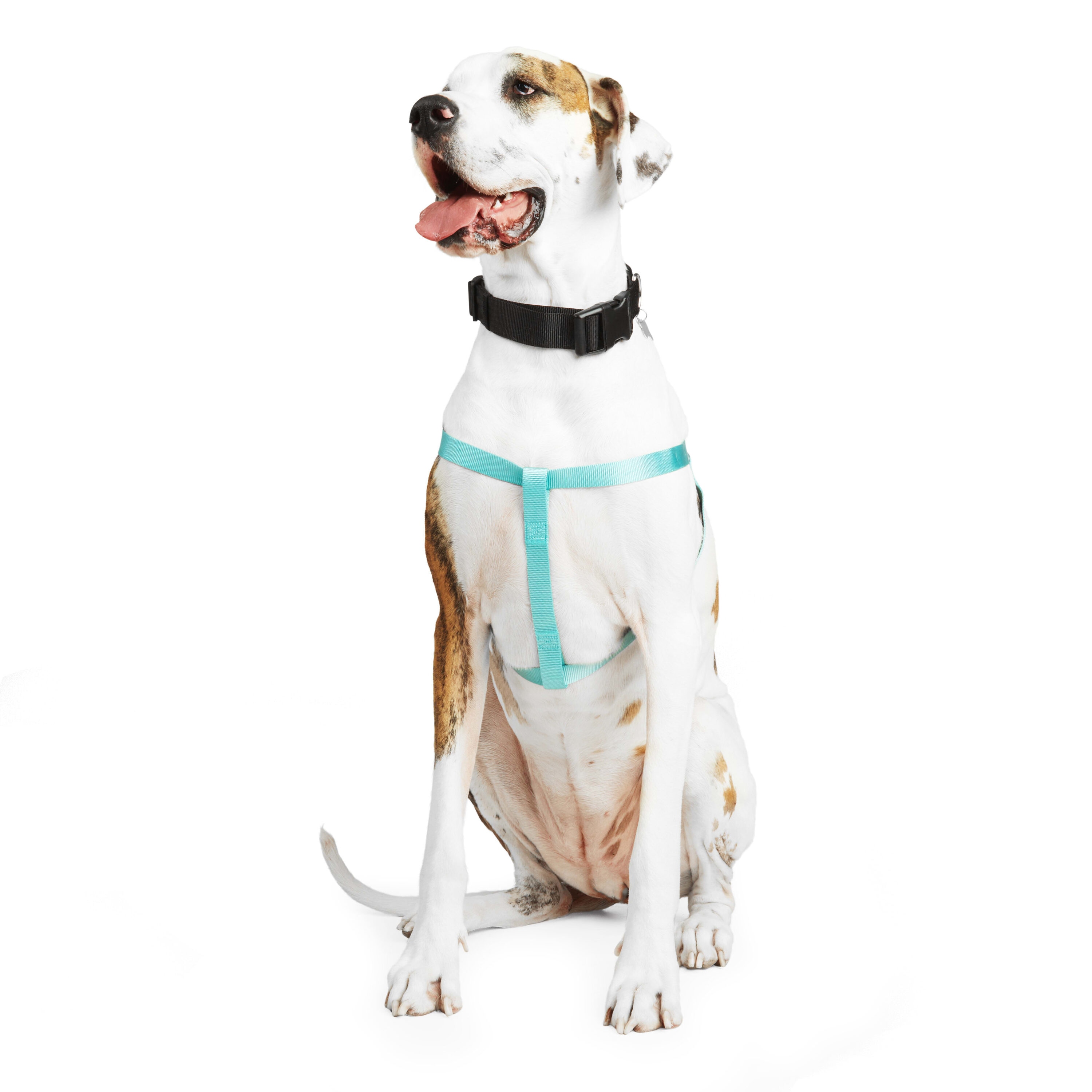 Youly 3710083 Dog-Collars-Harnesses - View #3