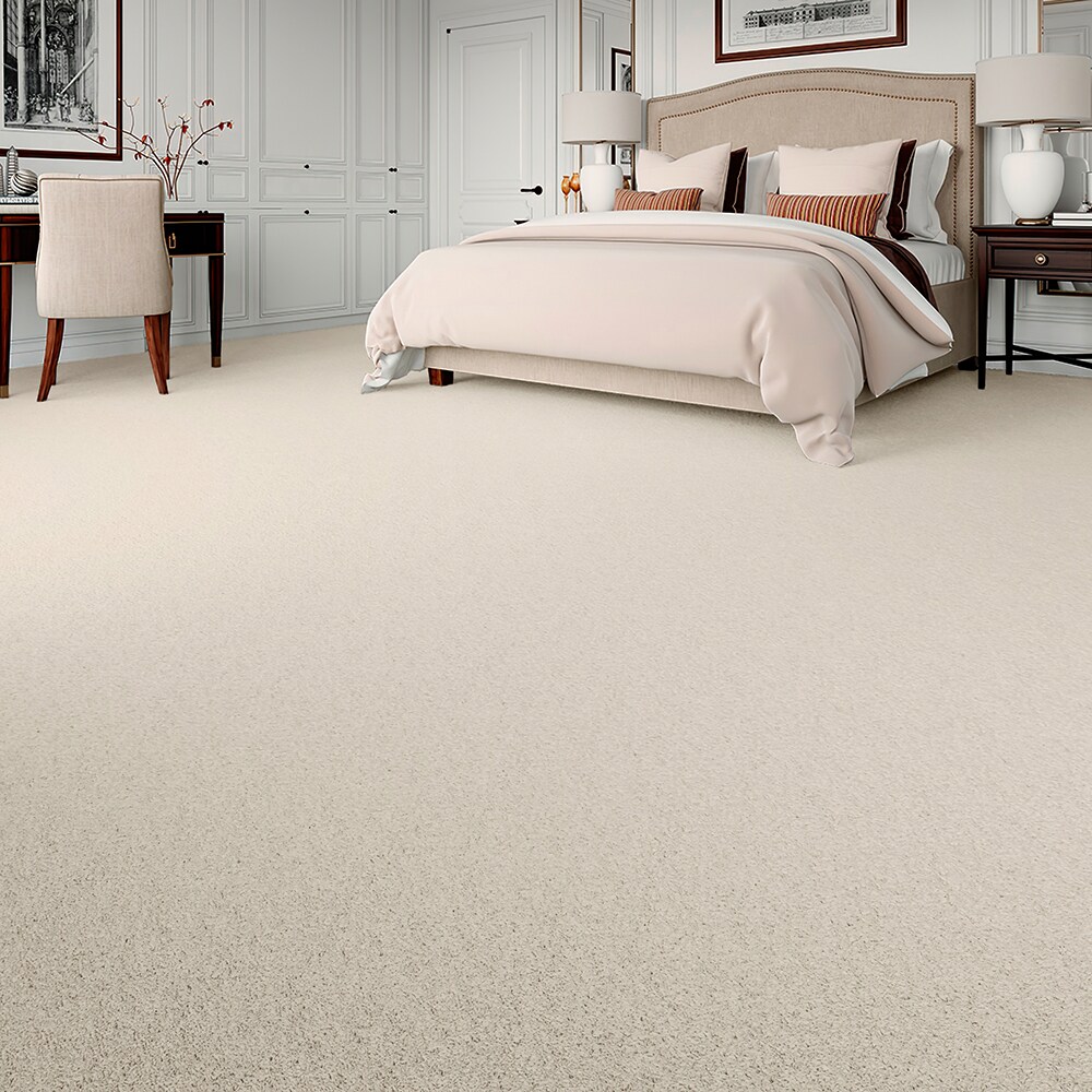 STAINMASTER STP67-L005-0808 Carpet-Samples - View #3