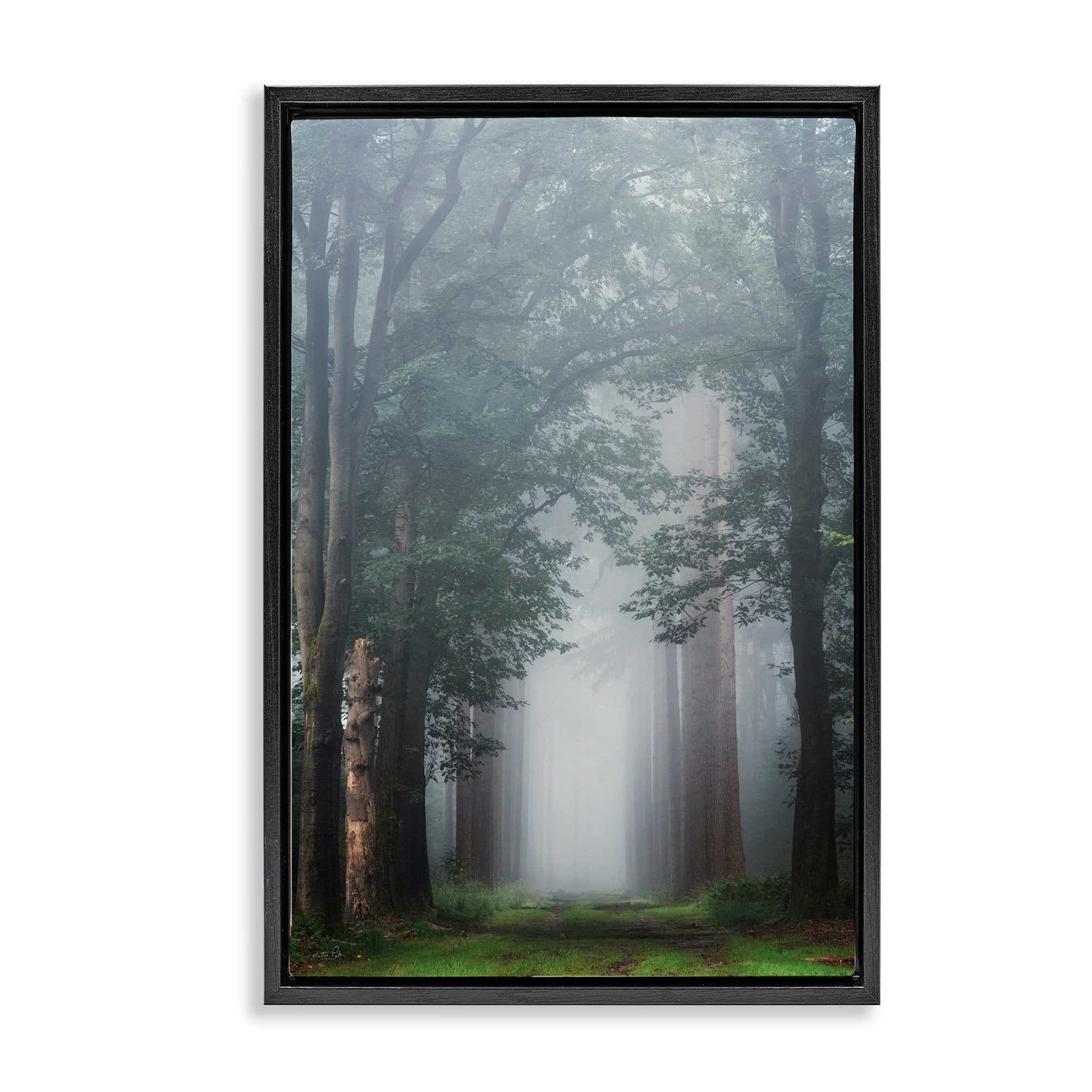 Stupell Industries BT-590-FFB-16X24 Calm Forest Clearing Floating Frame design by Martin Podt