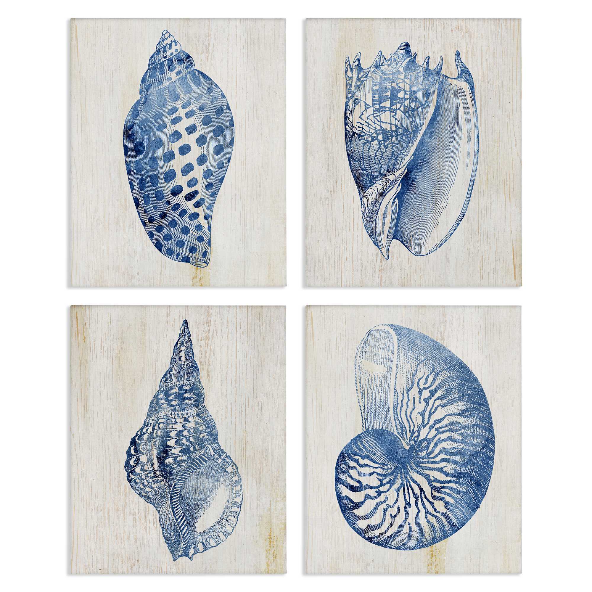 Stupell Industries A4-255-CN-4PC-11X14 Blue Seashells on Beige 4pc Canvas Set design by Susan Arnot