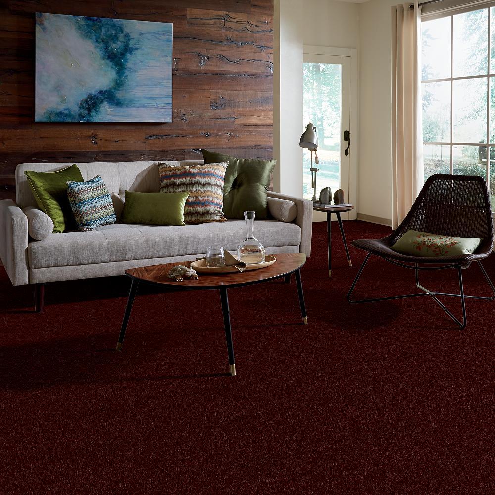 STAINMASTER 7L52200800 Carpet-Panel - View #5