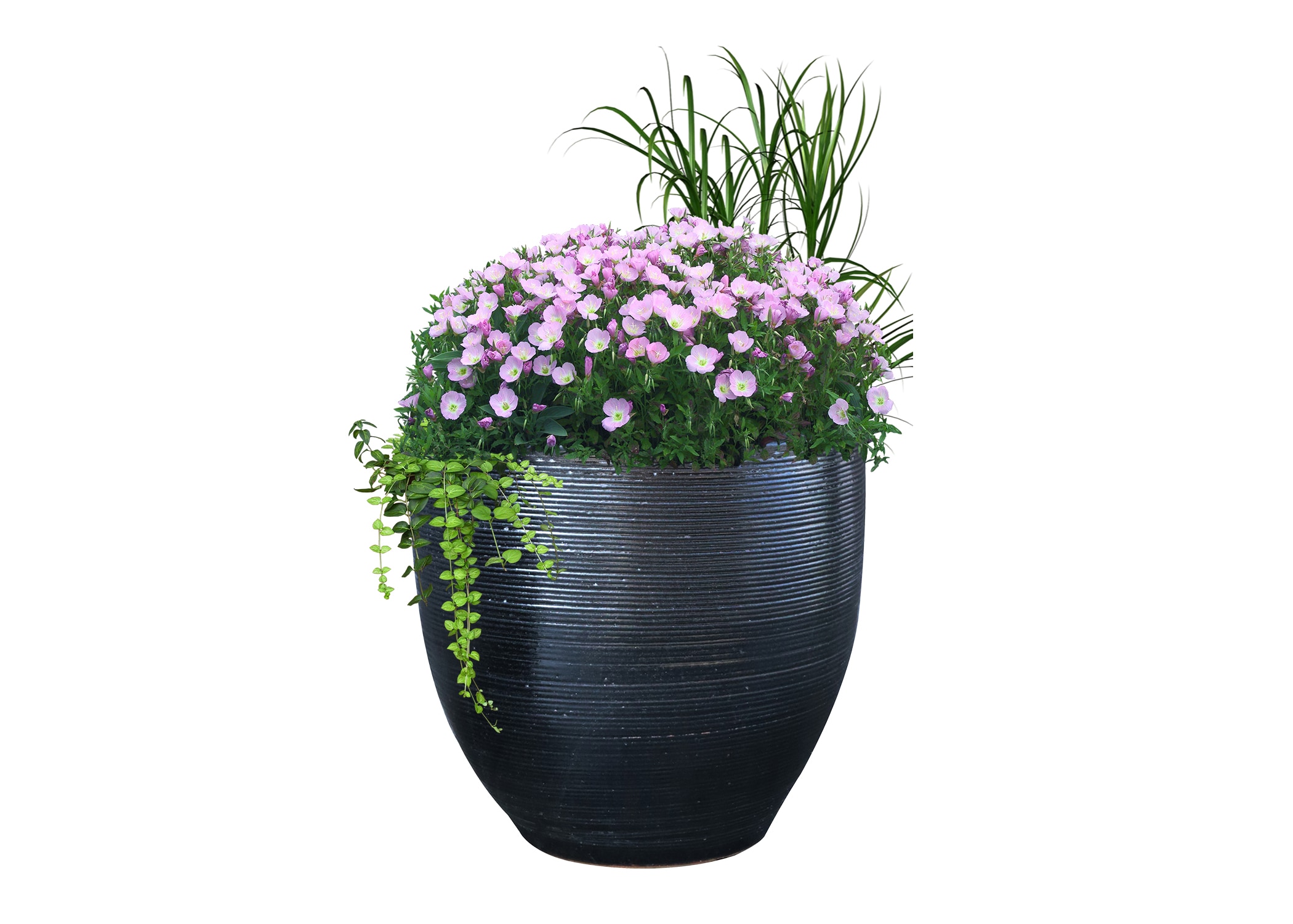 allen + roth GO2025-114 Planter-Window-Box - View #3