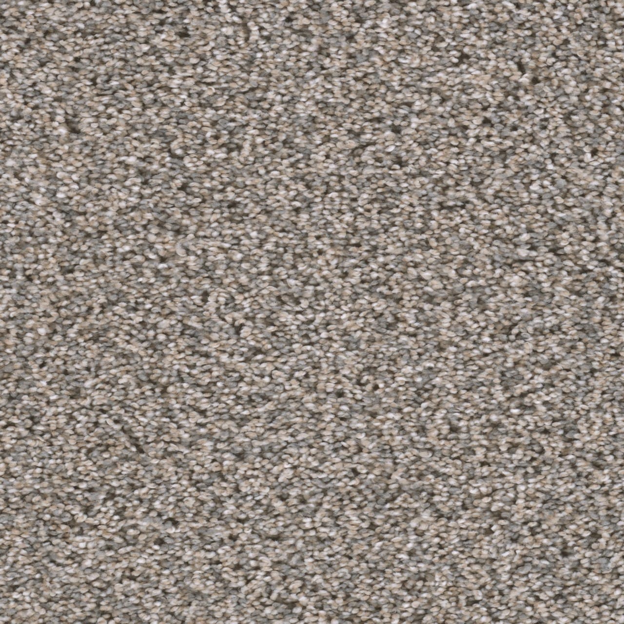 STAINMASTER L3018-262-0808 (Sample) 8-in x 8-in Soft Shadows III Mist Tan 65-oz sq yard Solution-dyed polyester Textured Indoor Carpet