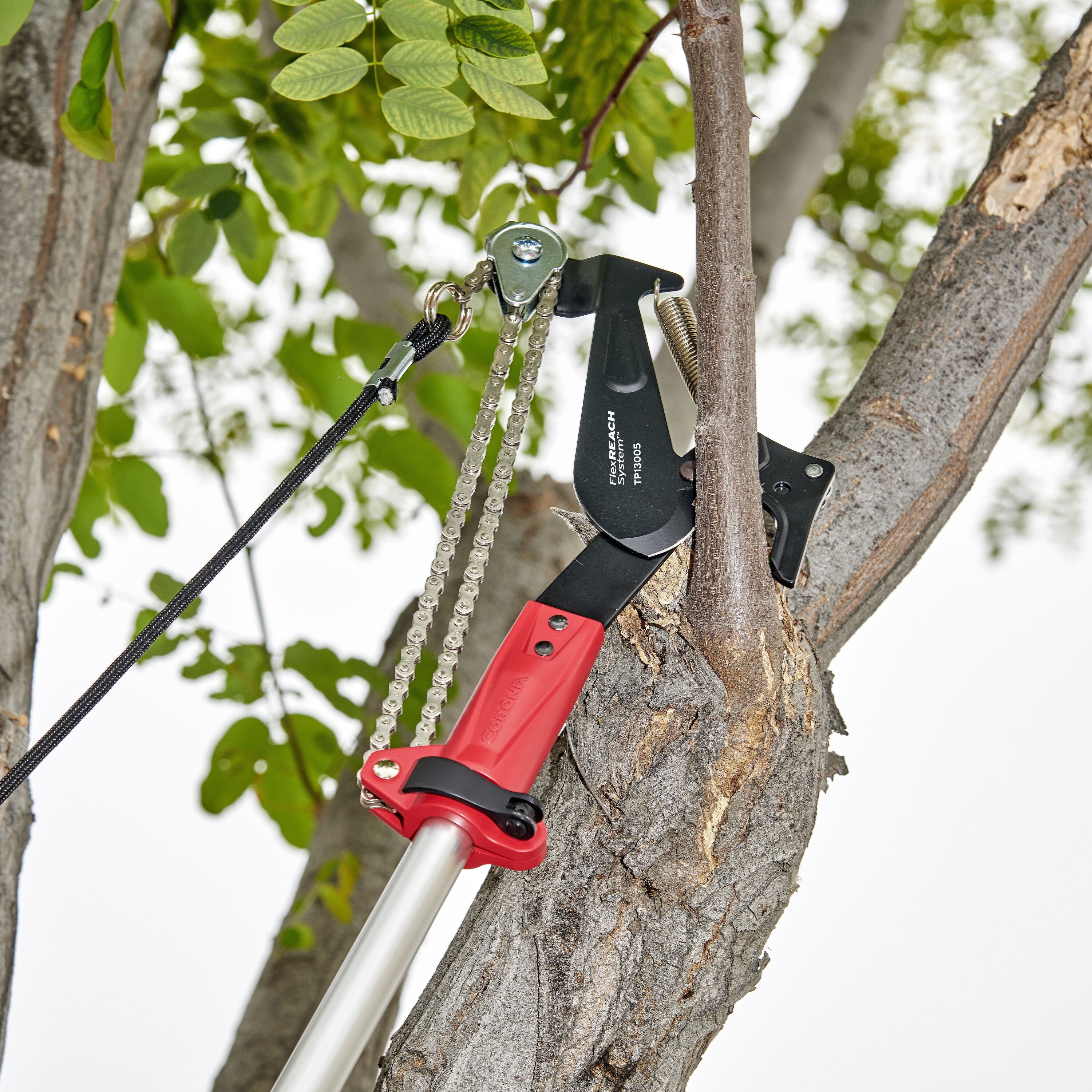Tree limb cutter lowes hotsell