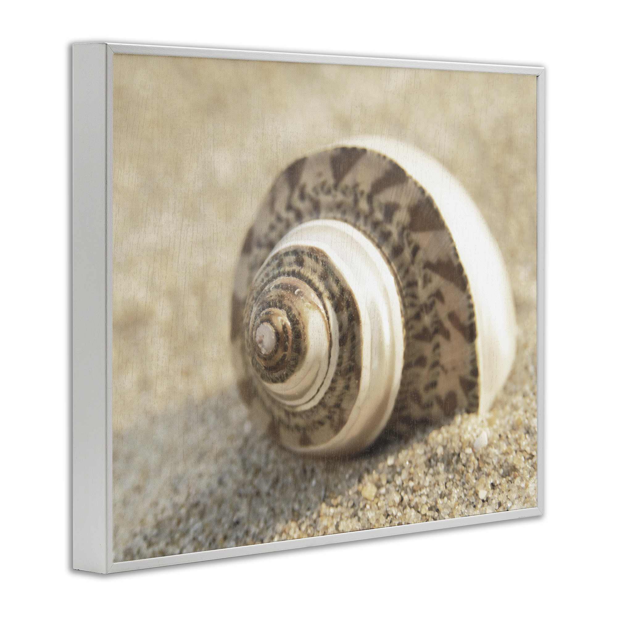 Stupell Industries BS-151-WFR-11X14 Wall-Art - View #2