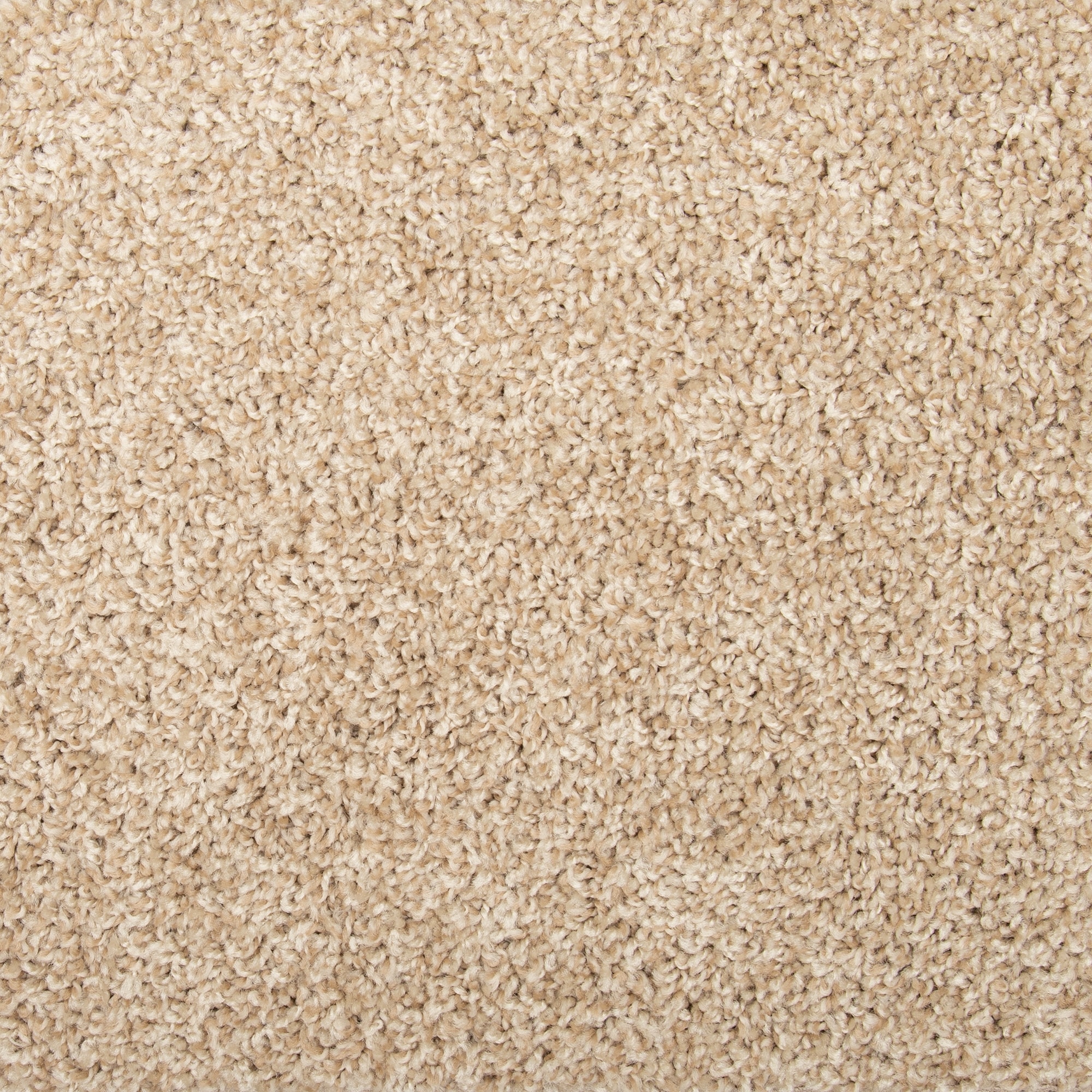 Mohawk SS025-L006-0808 (Sample) Pro Renovations - Civilized Shades Pro Toffee Butter Brown 25-oz sq yard Solution-dyed polyester Textured Indoor Carpet