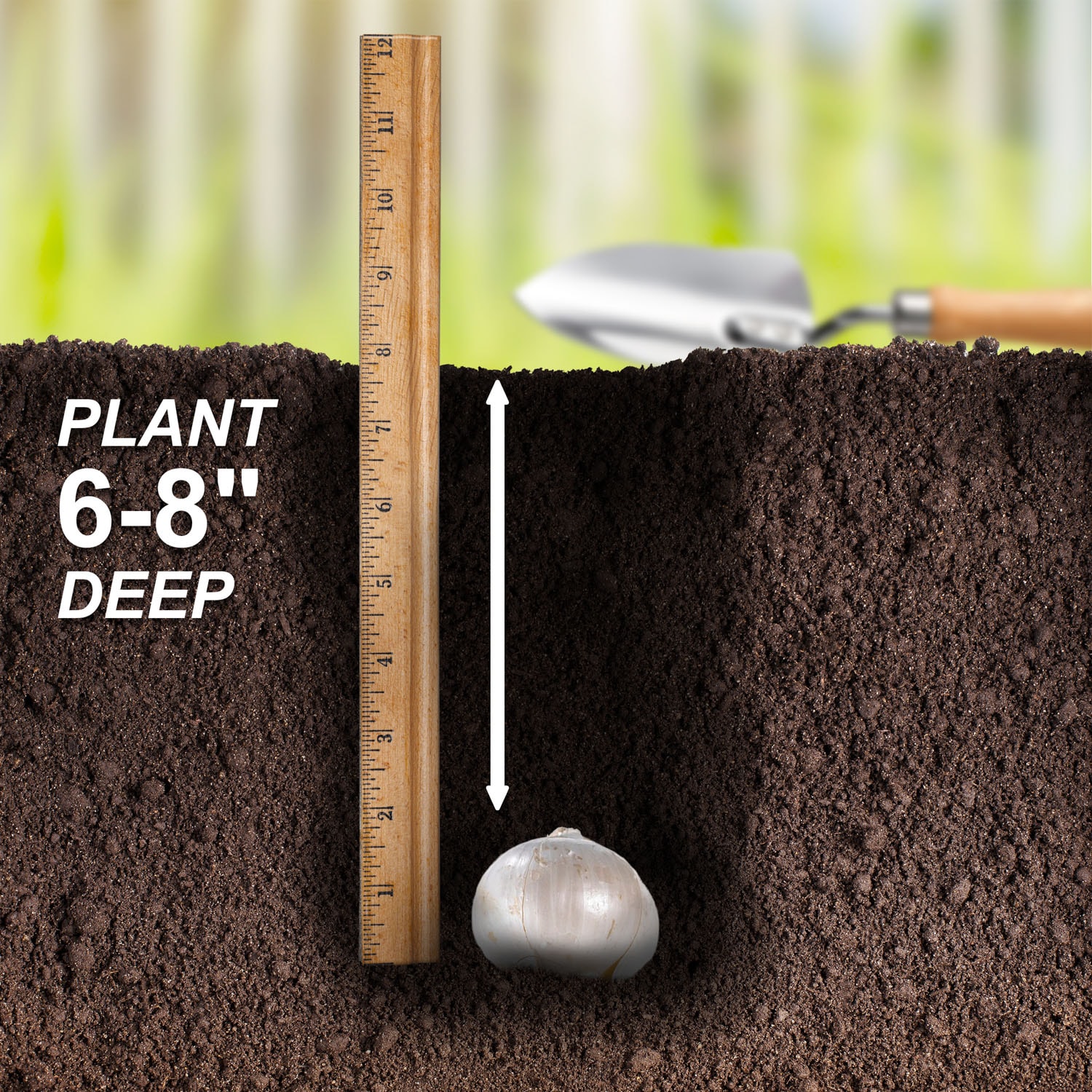 Garden State Bulb ECF-140-20-02 Plant-Bulbs - View #5