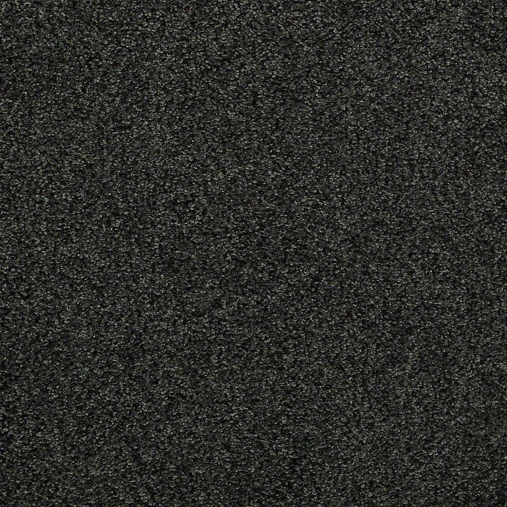 STAINMASTER 7L717-319-SAMP (Sample) Signature Advanced Beauty I Ivy Trellis Green Nylon Textured Indoor Carpet