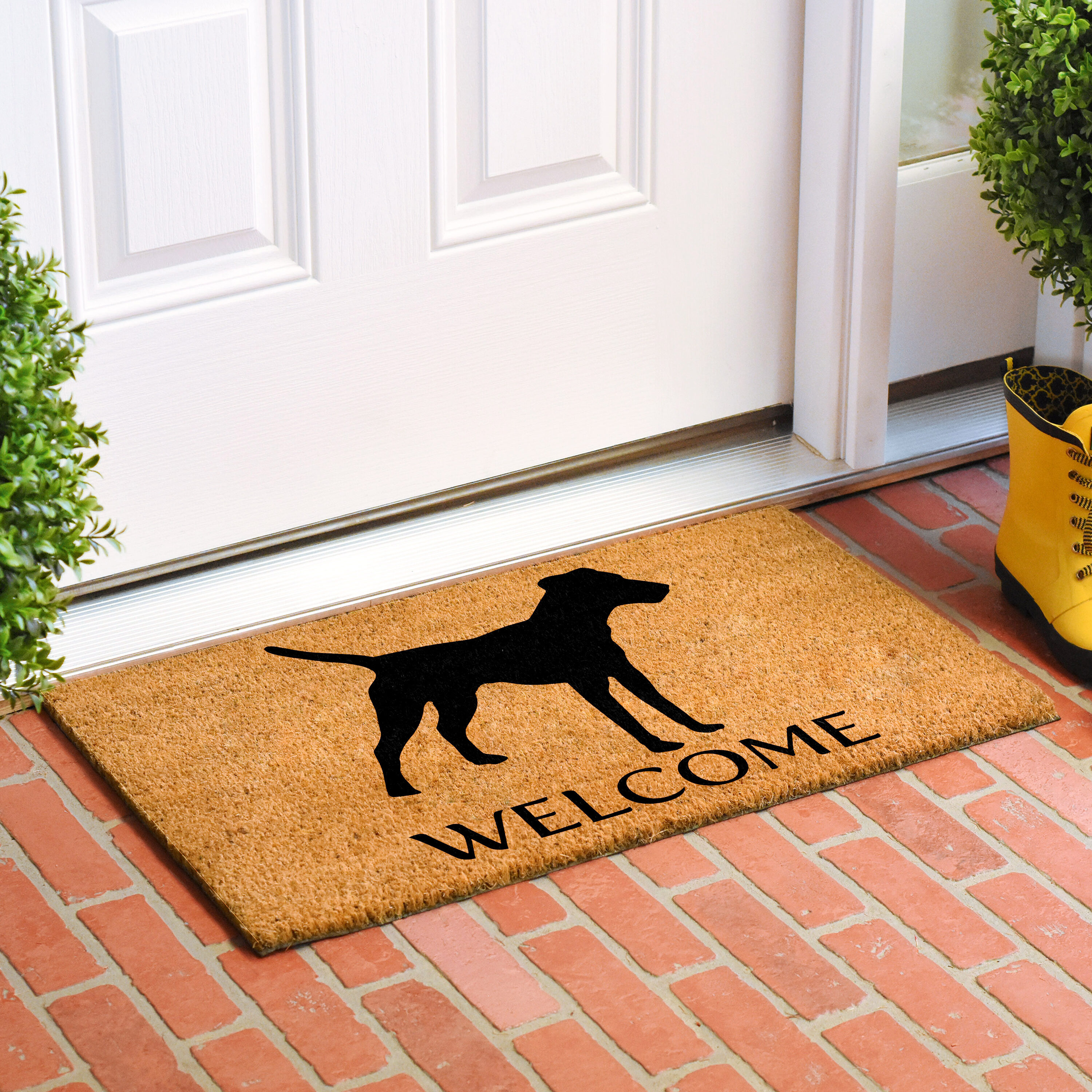 Callowaymills 106971729 Mats-Cat - View #2