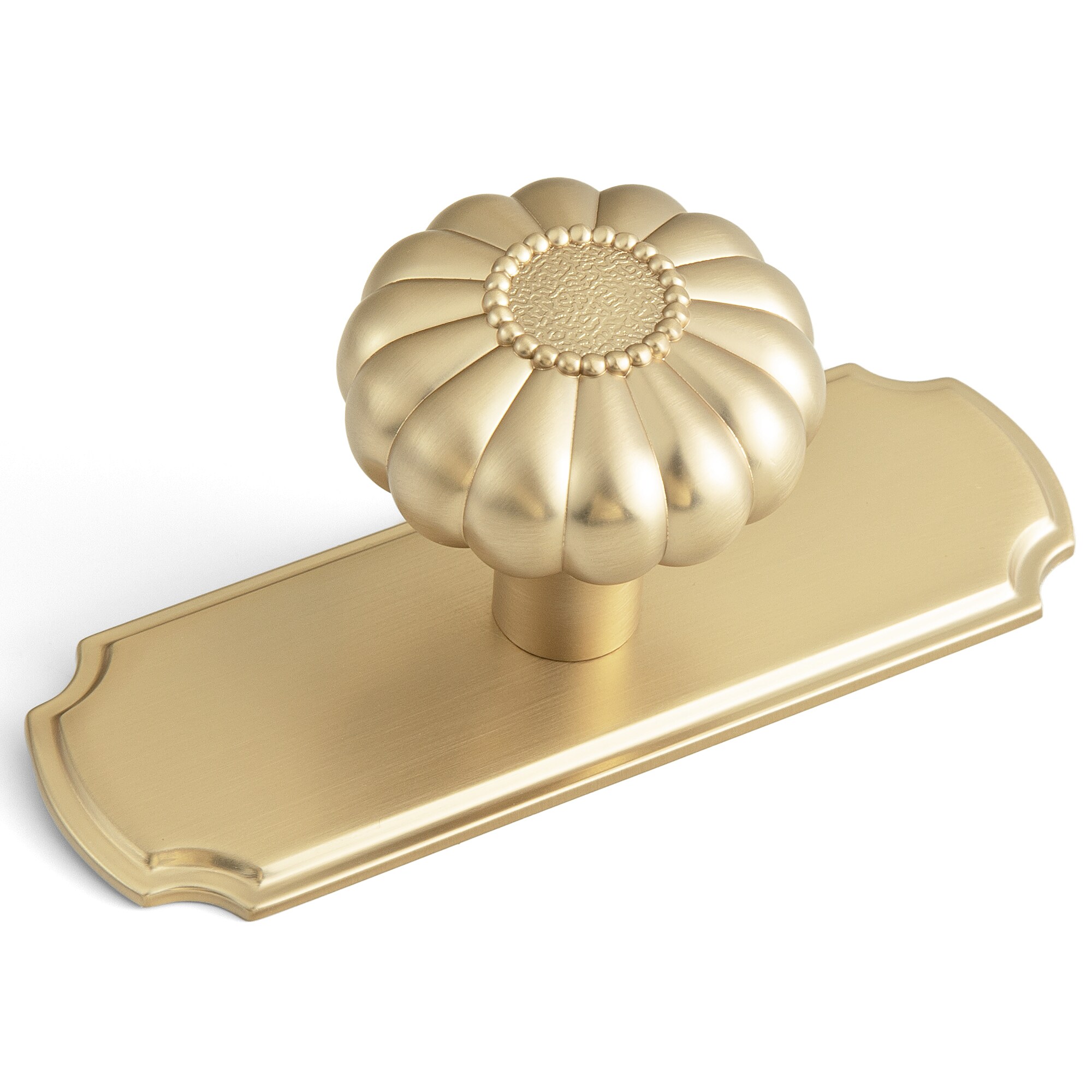 Miaokesen 1-3/5-in Champagne Bronze Novelty Modern Cabinet Knob 6 -Pack