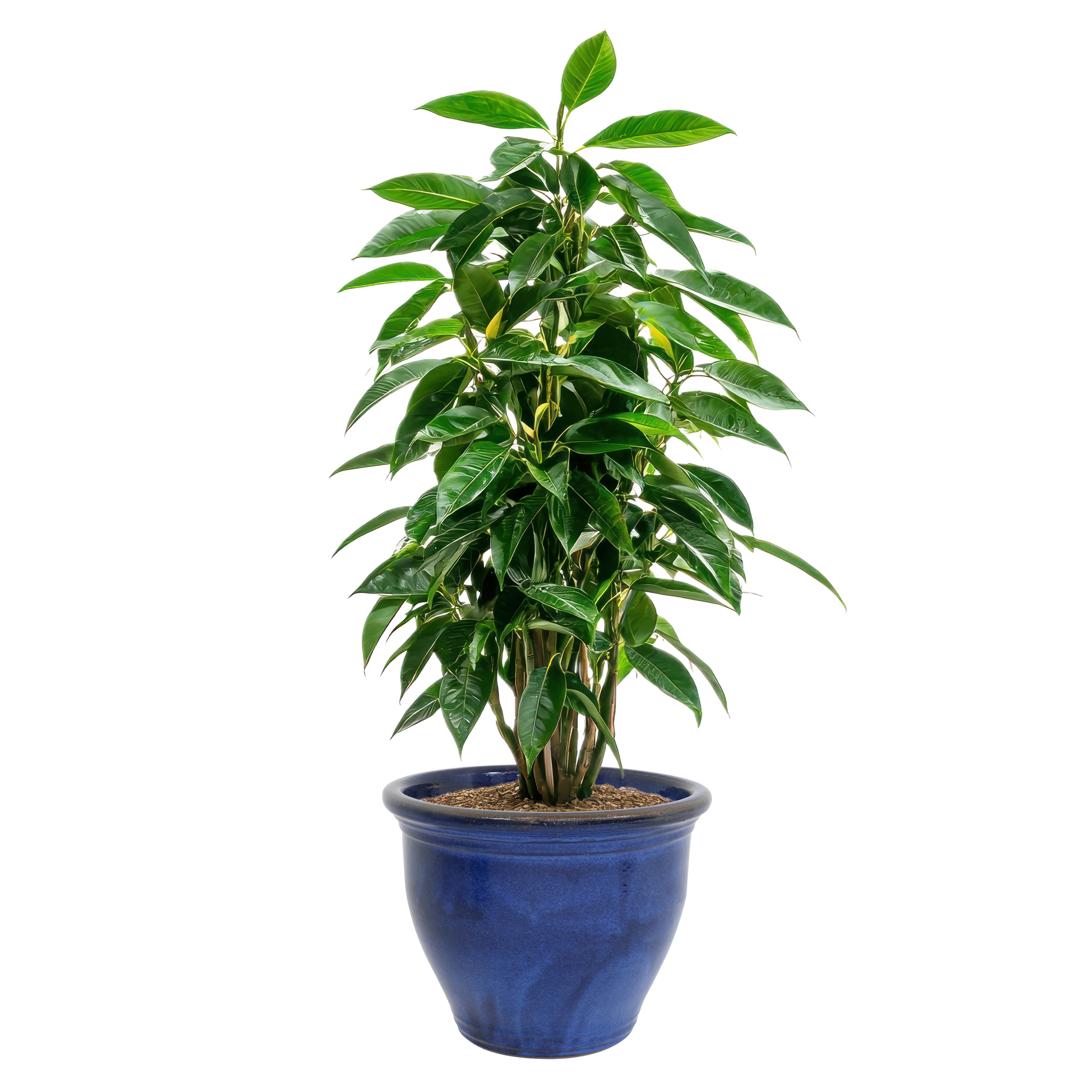 Sunnydaze Decor AP-933 Planter-Window-Box - View #8