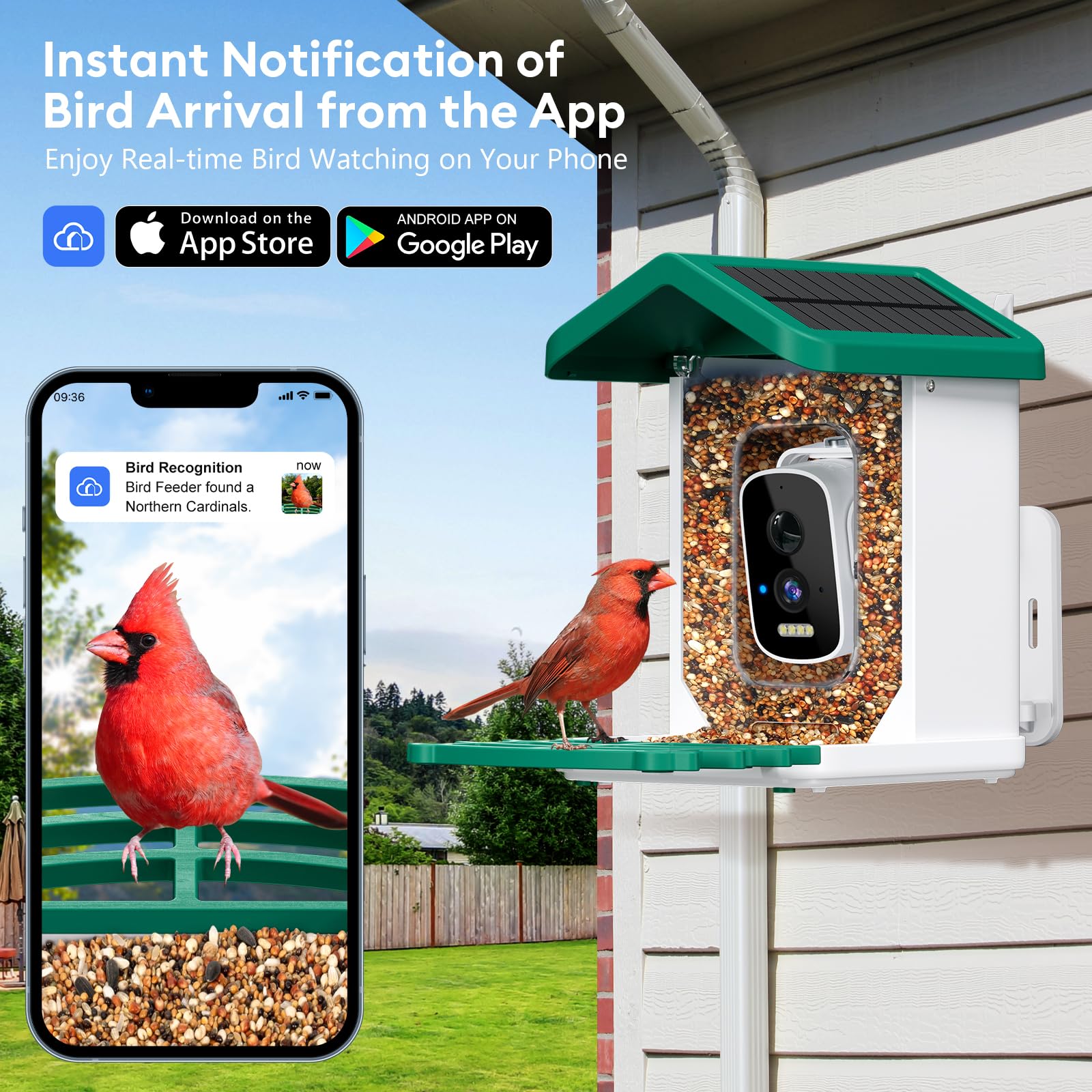 Afoxsos LAF1202F33 Bird-Feeders - View #5