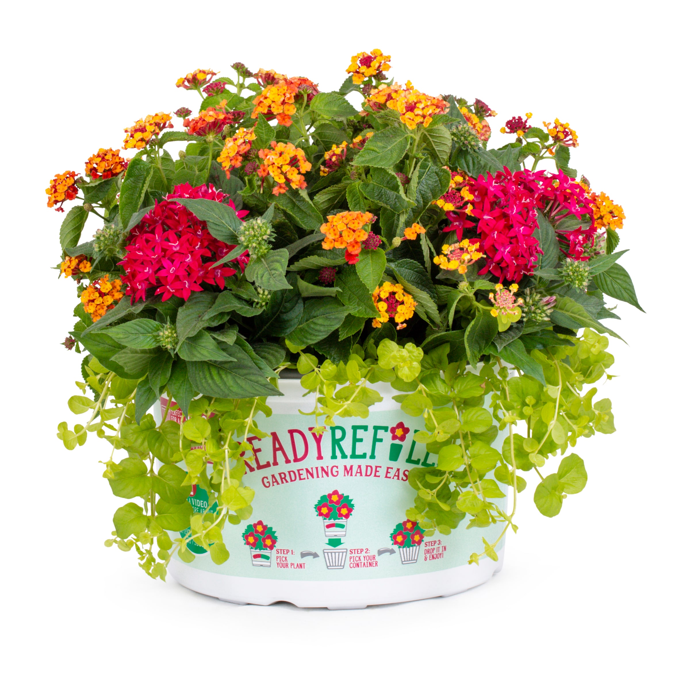 Ready Refill NURSERY Multicolor Mixed Annuals Combinations in 1.5-Gallon Pot
