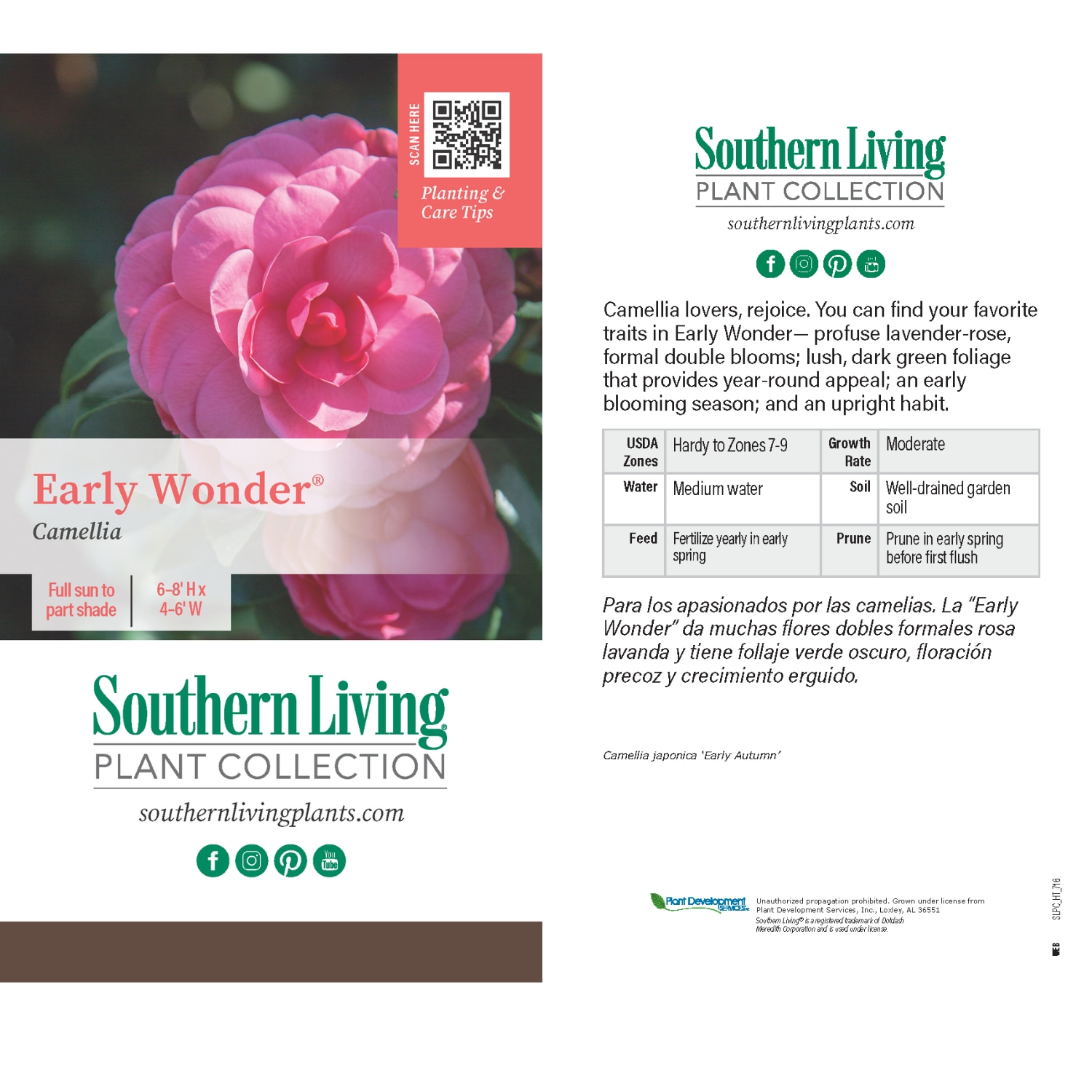 Southern Living 7763Q-1 shrubs - View #3