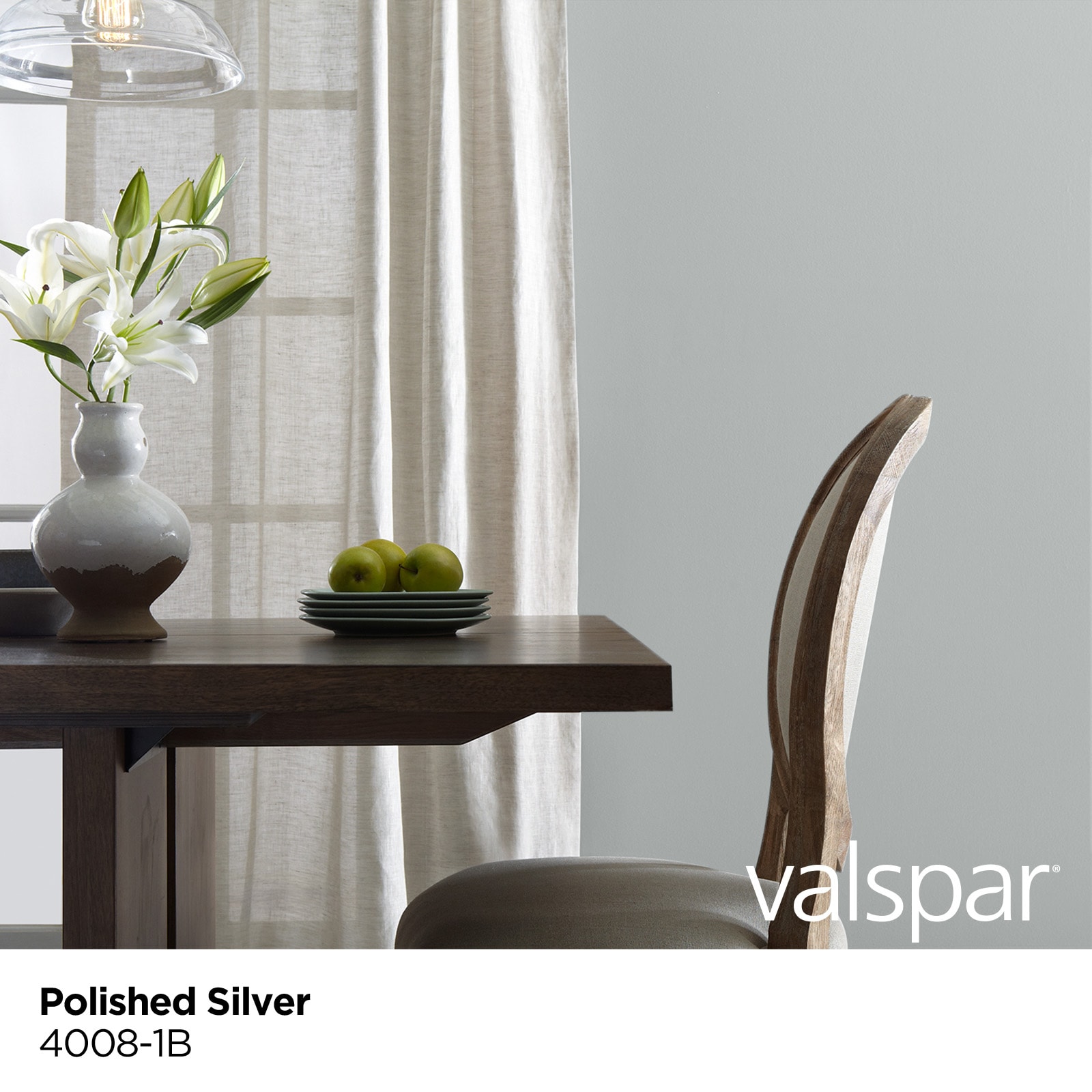 Valspar 4008-1B-26725 Int-Ext-Paint - View #3
