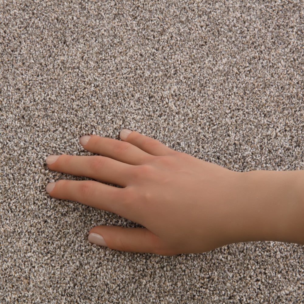 STAINMASTER PetProtect 7L967-731-SAMP Carpet-Samples - View #4