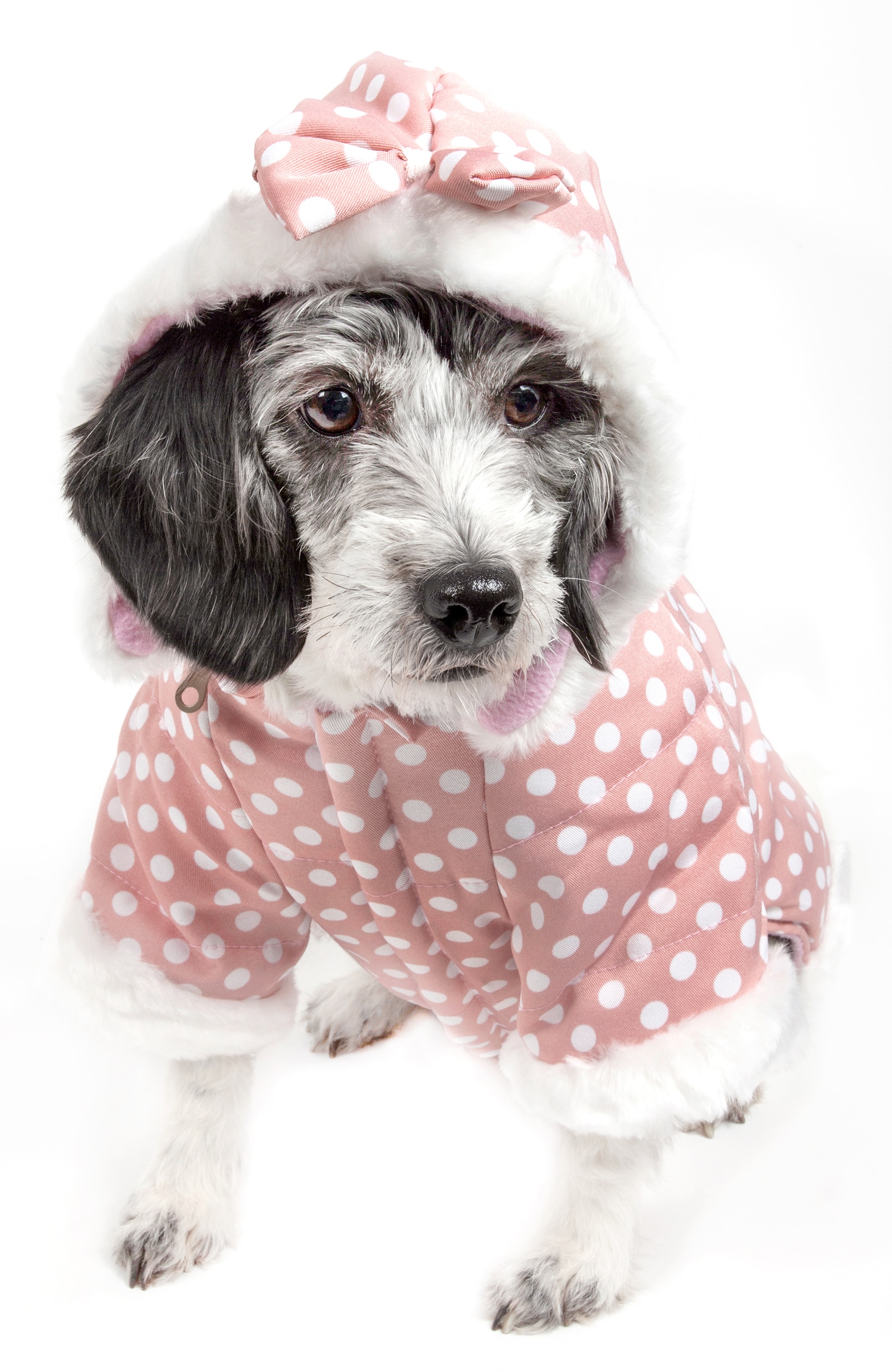 Pet Life HD3PKSM Dog-Apparel - View #2