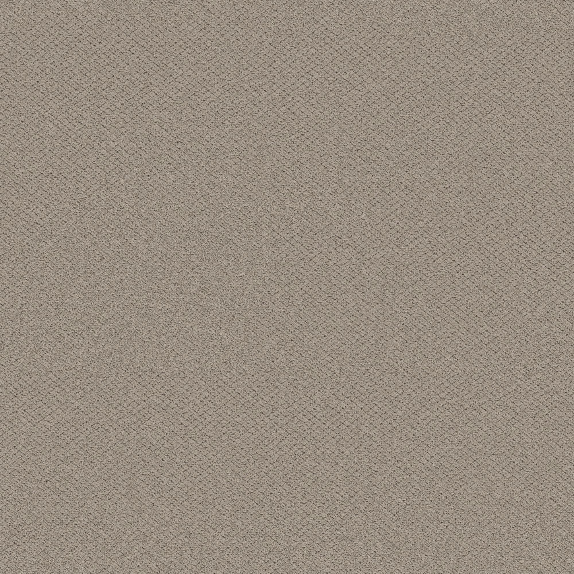STAINMASTER (Sample) 8-in x 8-in Everlasting Deerfield Brown 35-oz sq yard Solution-dyed polyester Pattern Indoor Carpet #7L991-114-SAMP