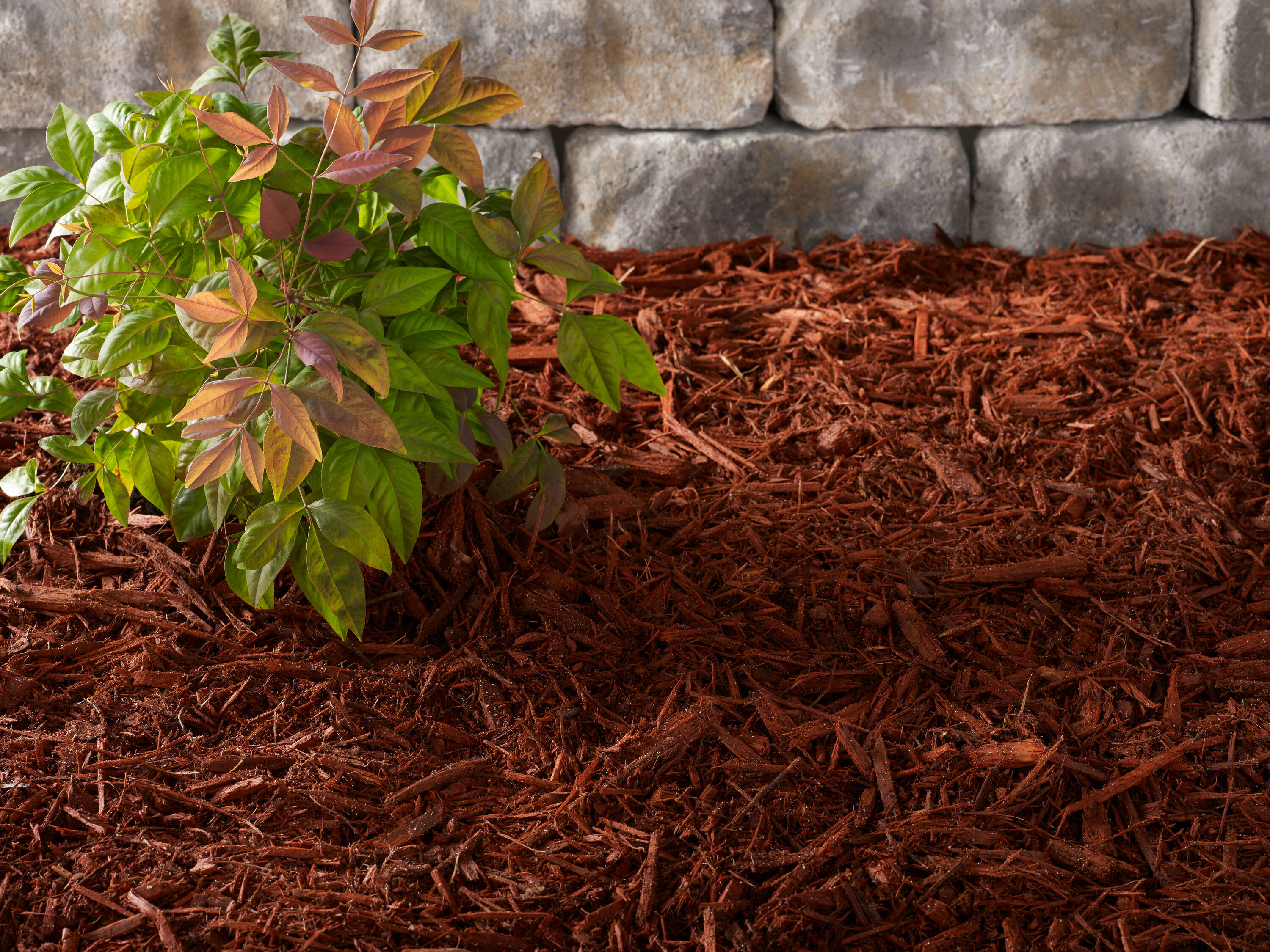 Preen 951045 Bagged-Mulch - View #5