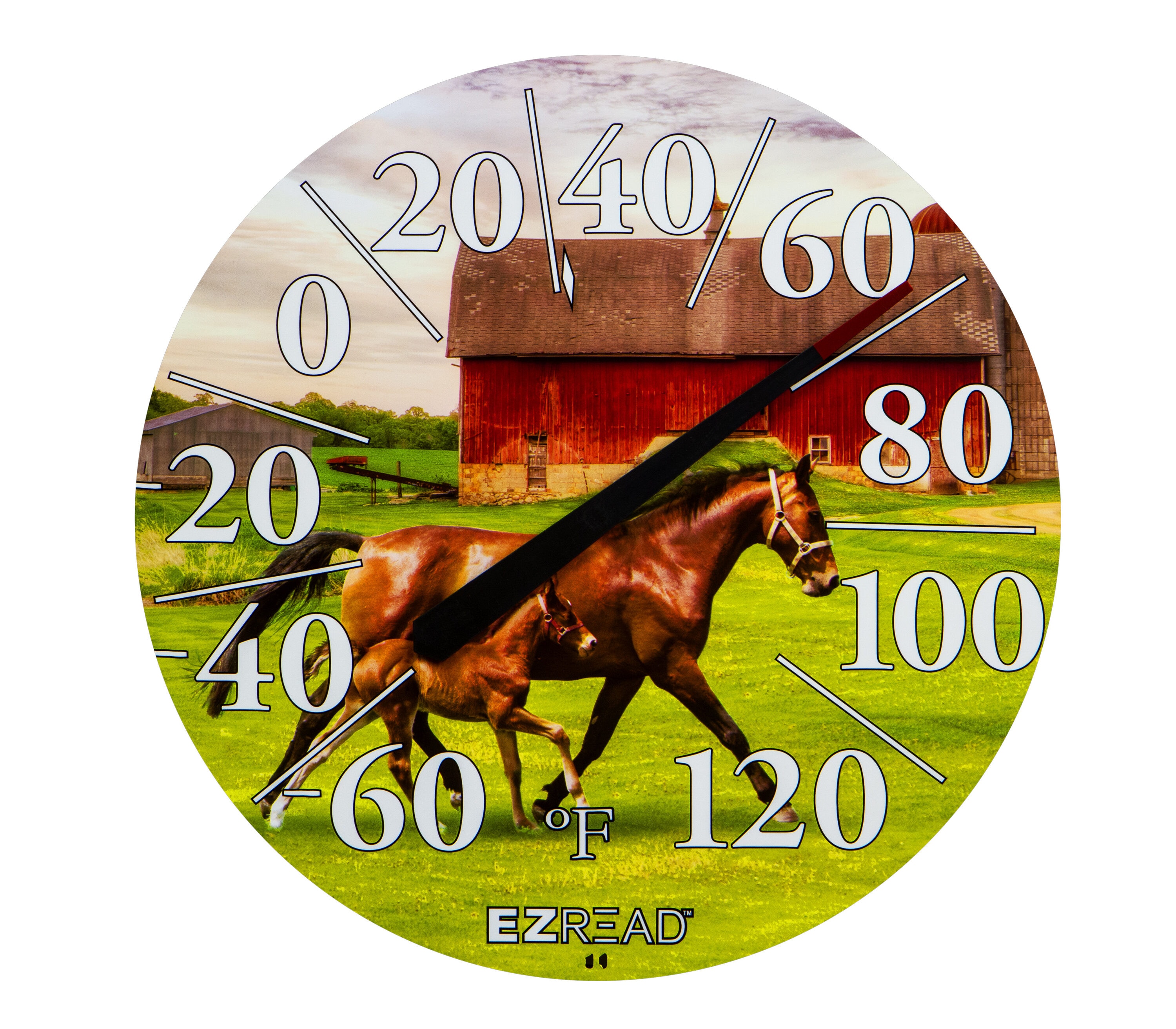 EZRead Analog Indoor or outdoor Multiple colors/finishes Classic Thermometer #840-1231