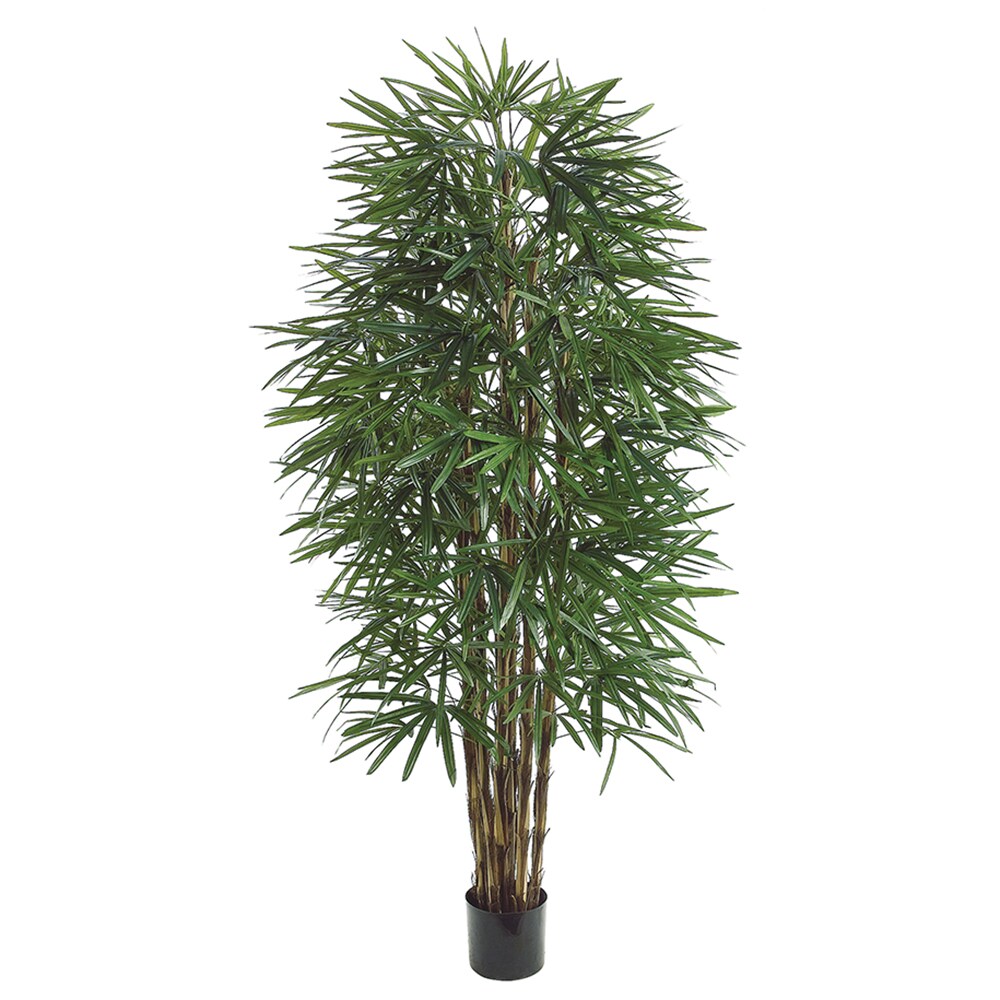 Allstate Floral LTP426-GR 72-in Green Indoor Floor Raphis Artificial tree