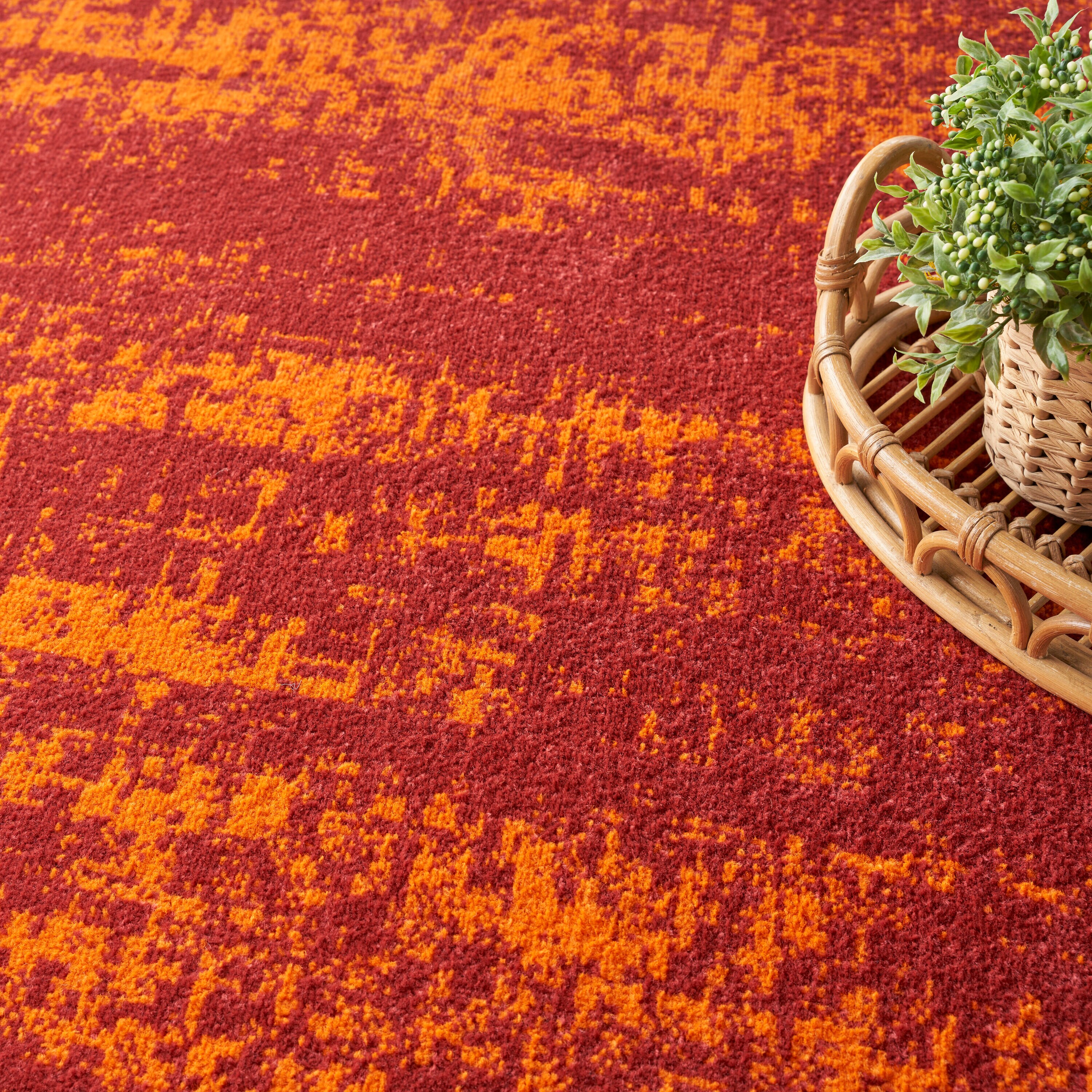 Nourison 099446151254 rugs - View #3