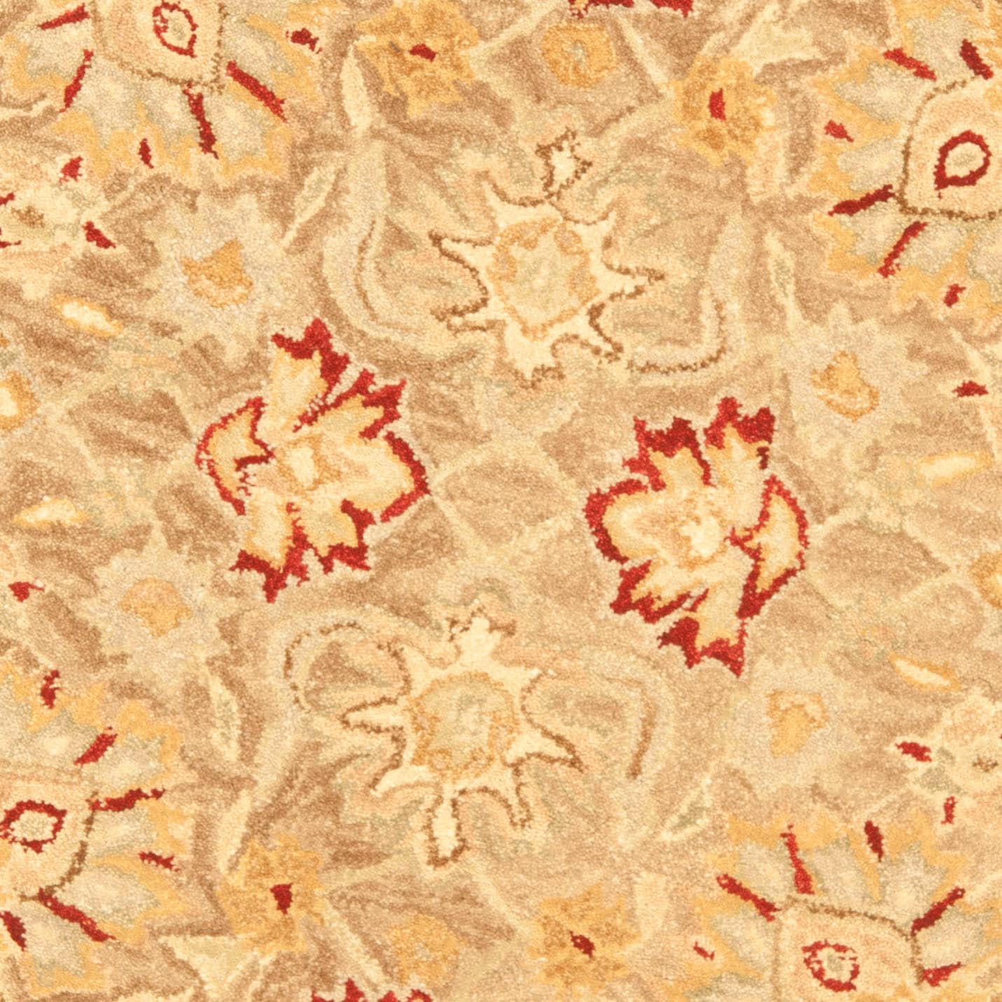 Safavieh AN522B-4R rugs - View #4