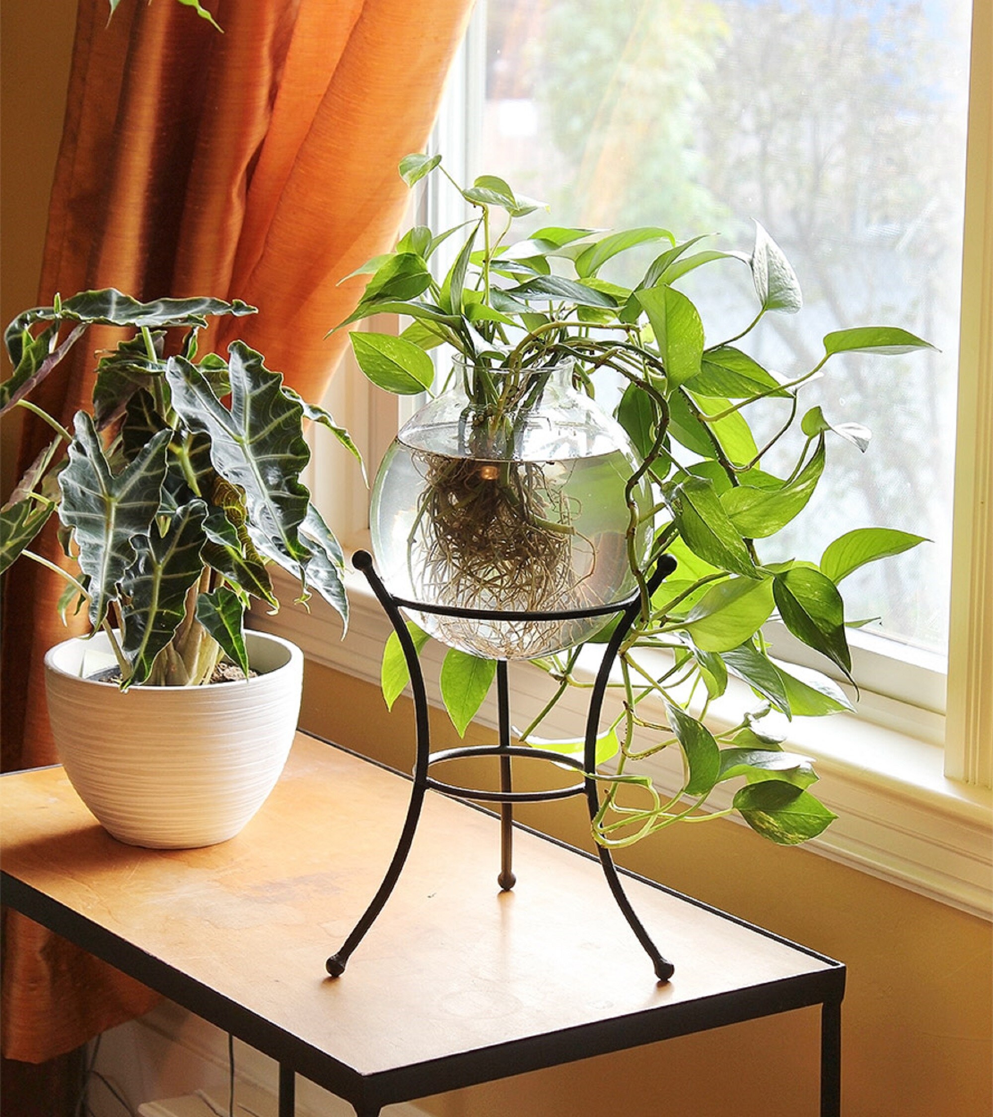 Minuteman International GBS-20 Plant-Stand - View #4