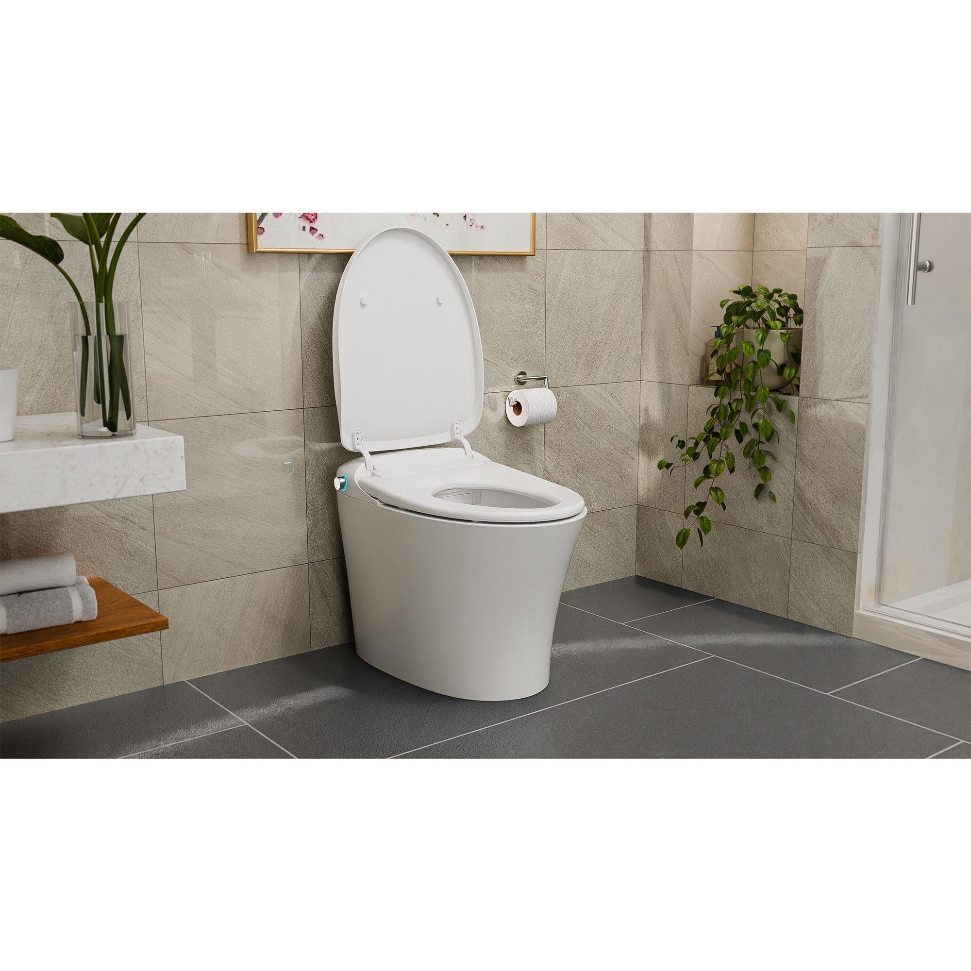 DreamLine TL33X152700 bidets - View #5
