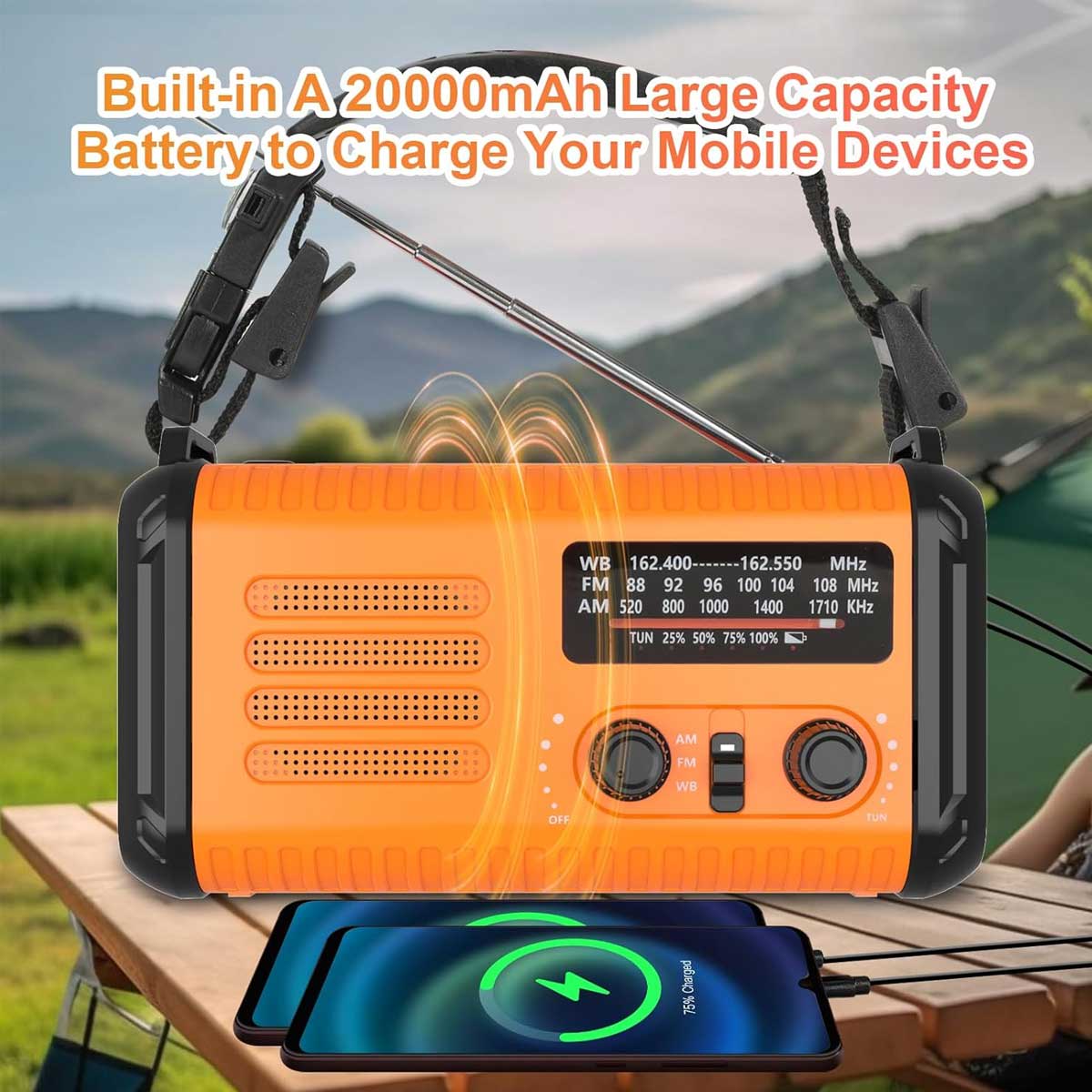 Aoibox LAWR0917034 Weather-Radio - View #3