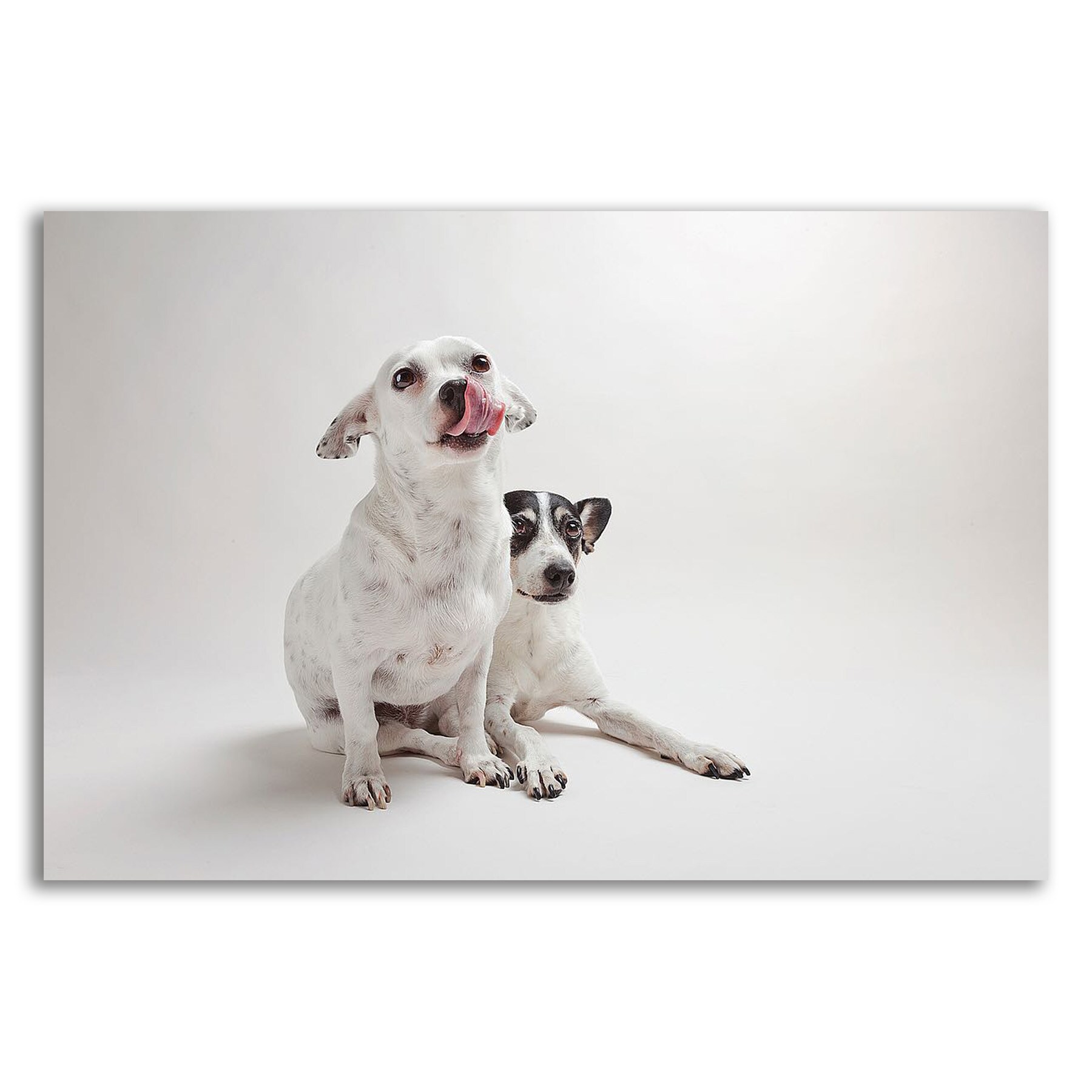 Tangletown Fine Art 8S1699DC-2416 Wall-Art - View #2