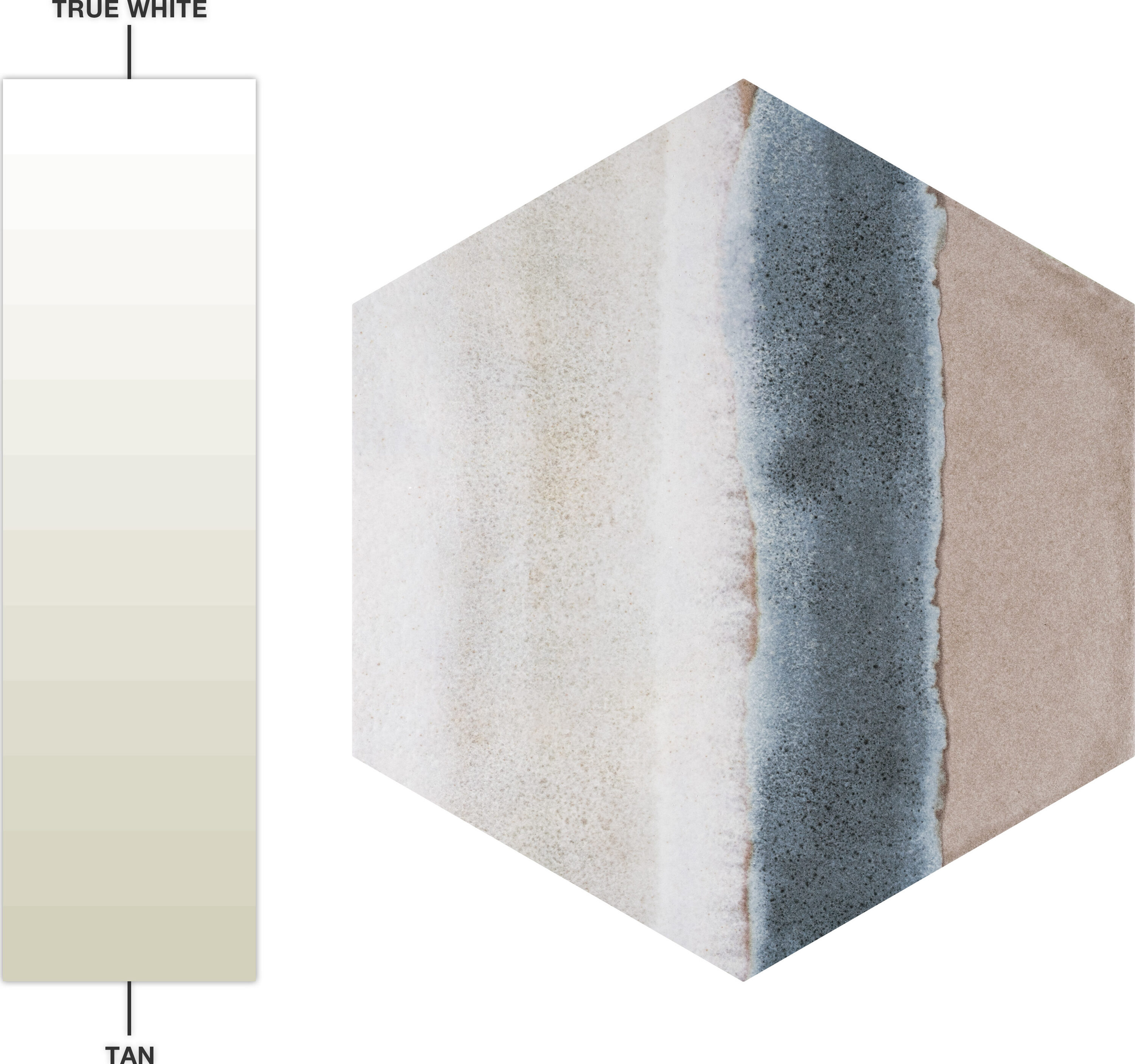 Taupe and Blue Hexagon Porcelain Floor and Wall Tile