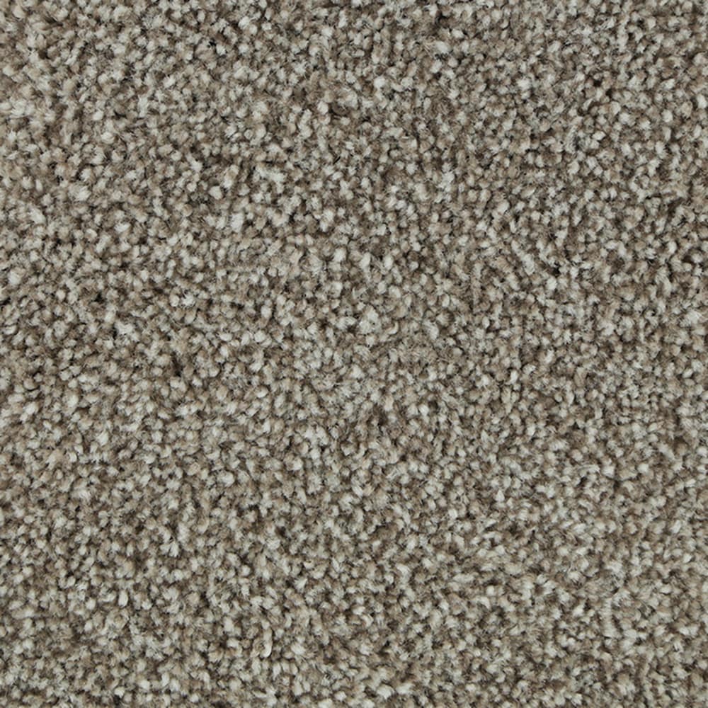 STAINMASTER (Sample) Calming Stride II Prairie Dusk Brown 60-oz sq yard ...