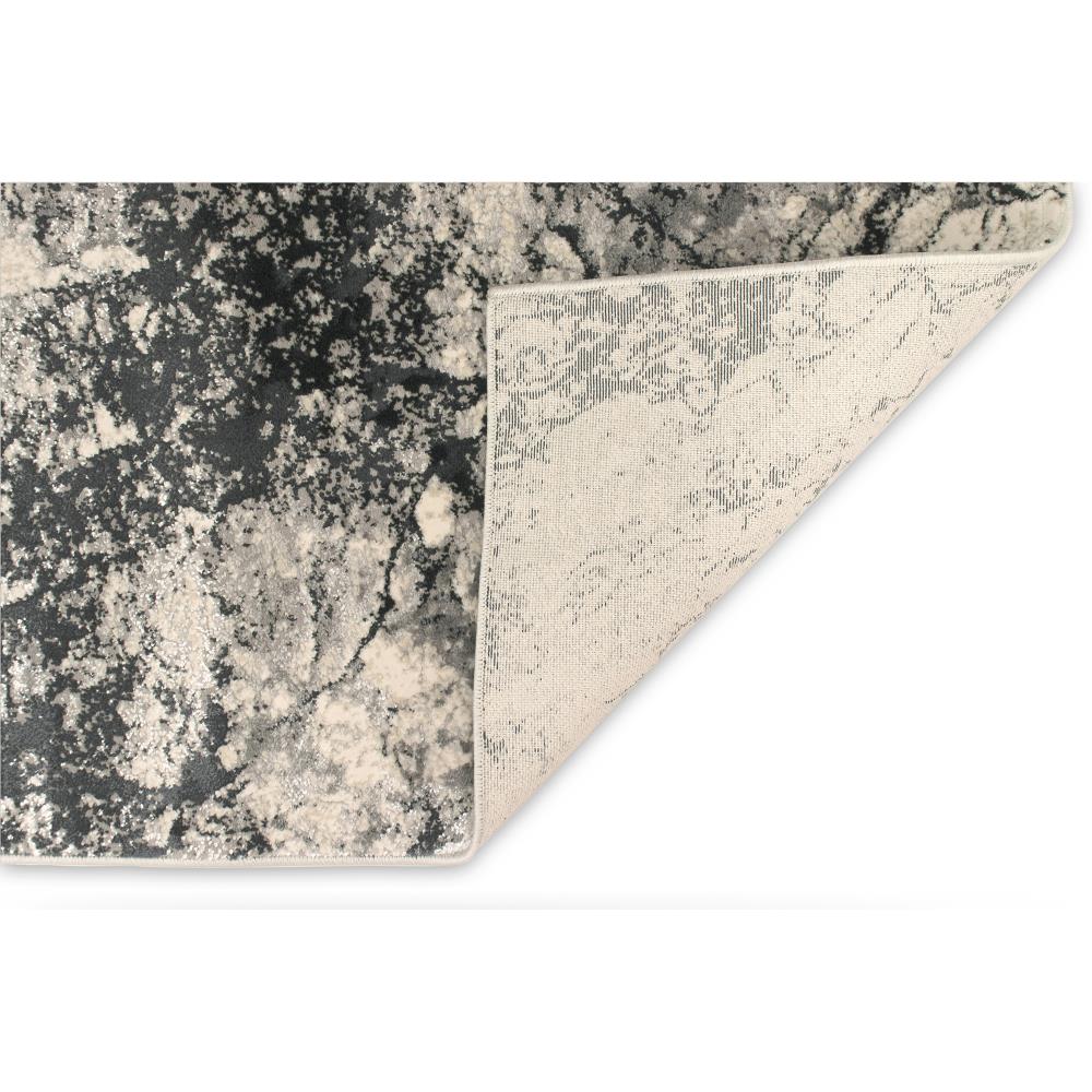 Liora Manne TSA91858347 rugs - View #5