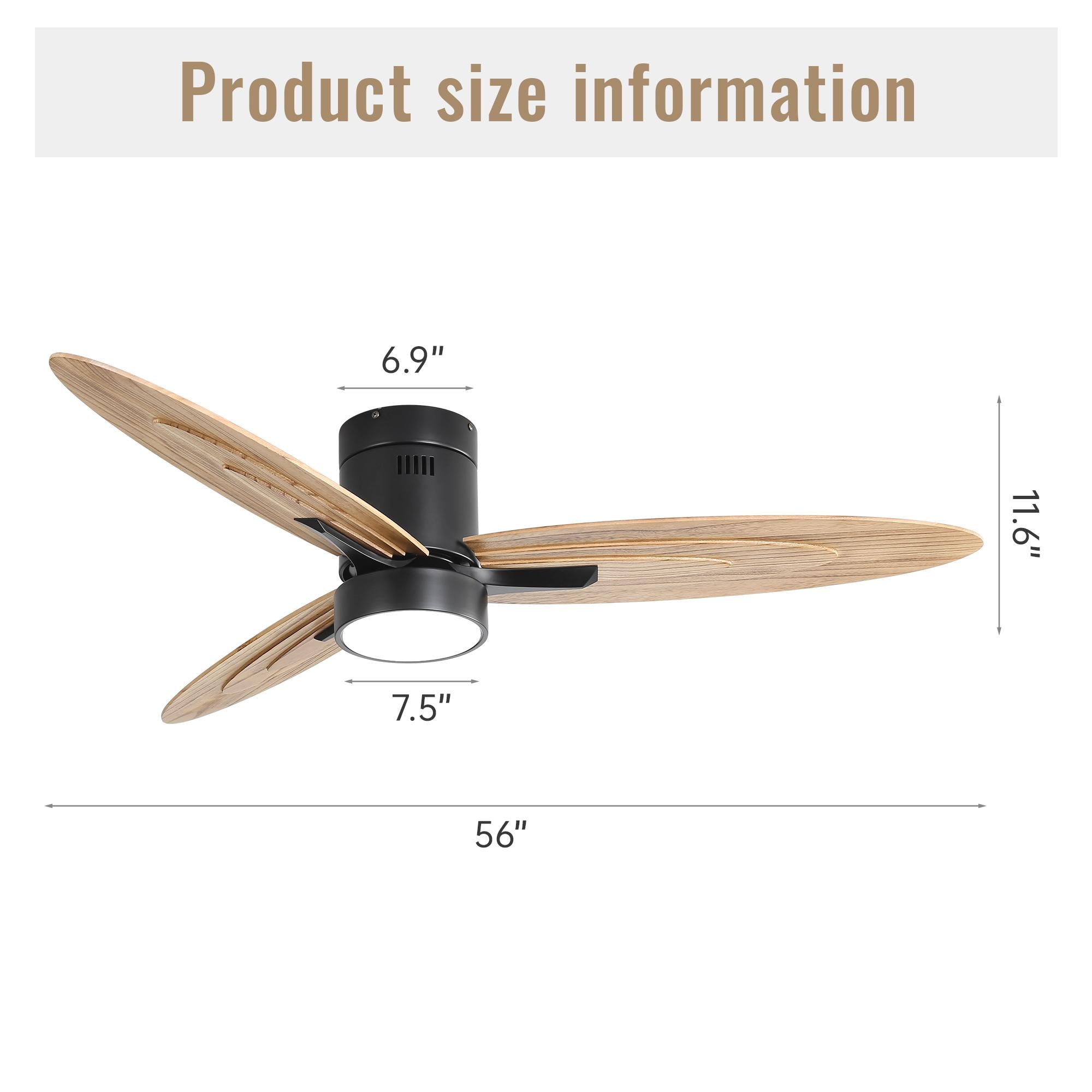 Bayfeve BFKS-11146-CF Ceiling-Fans - View #4