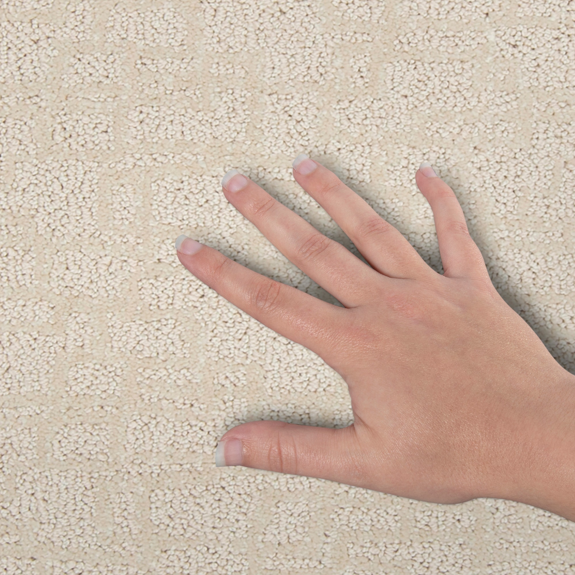 STAINMASTER PetProtect SS054-L001-S0808 Carpet-Samples - View #4