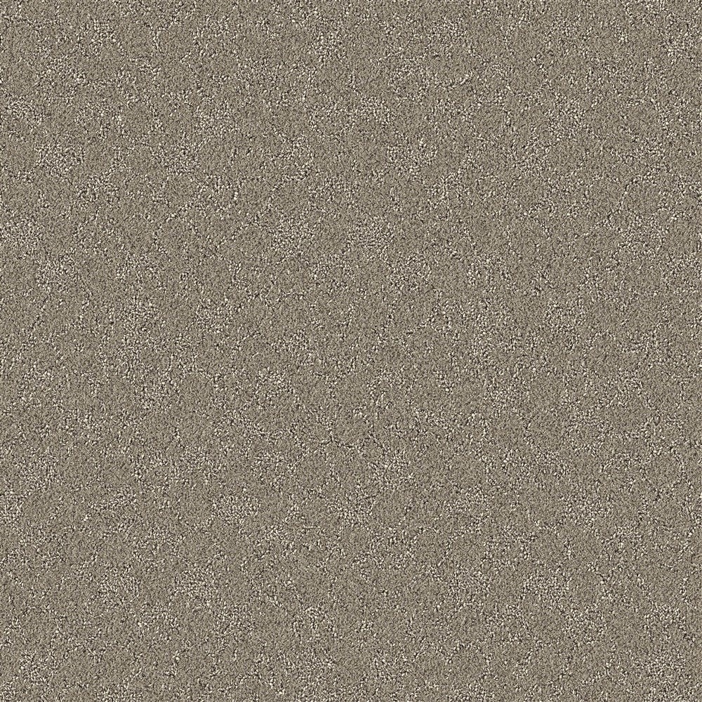 STAINMASTER PetProtect LU773-W0071-1200-AB Family Member Quiet Nature Brown 35-oz sq yard Solution-dyed nylon Pattern Indoor Carpet