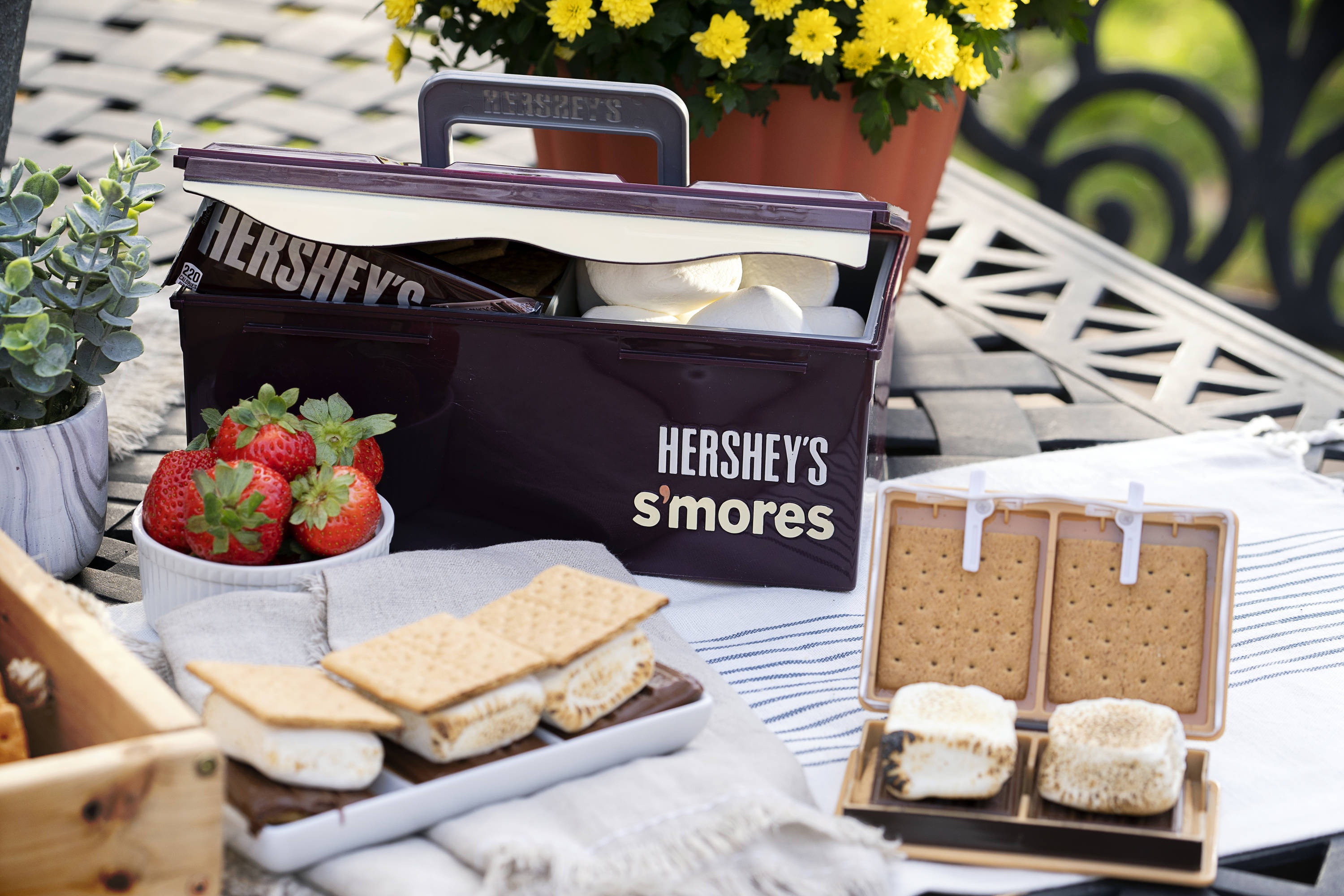 Hershey's S'mores Gift Set