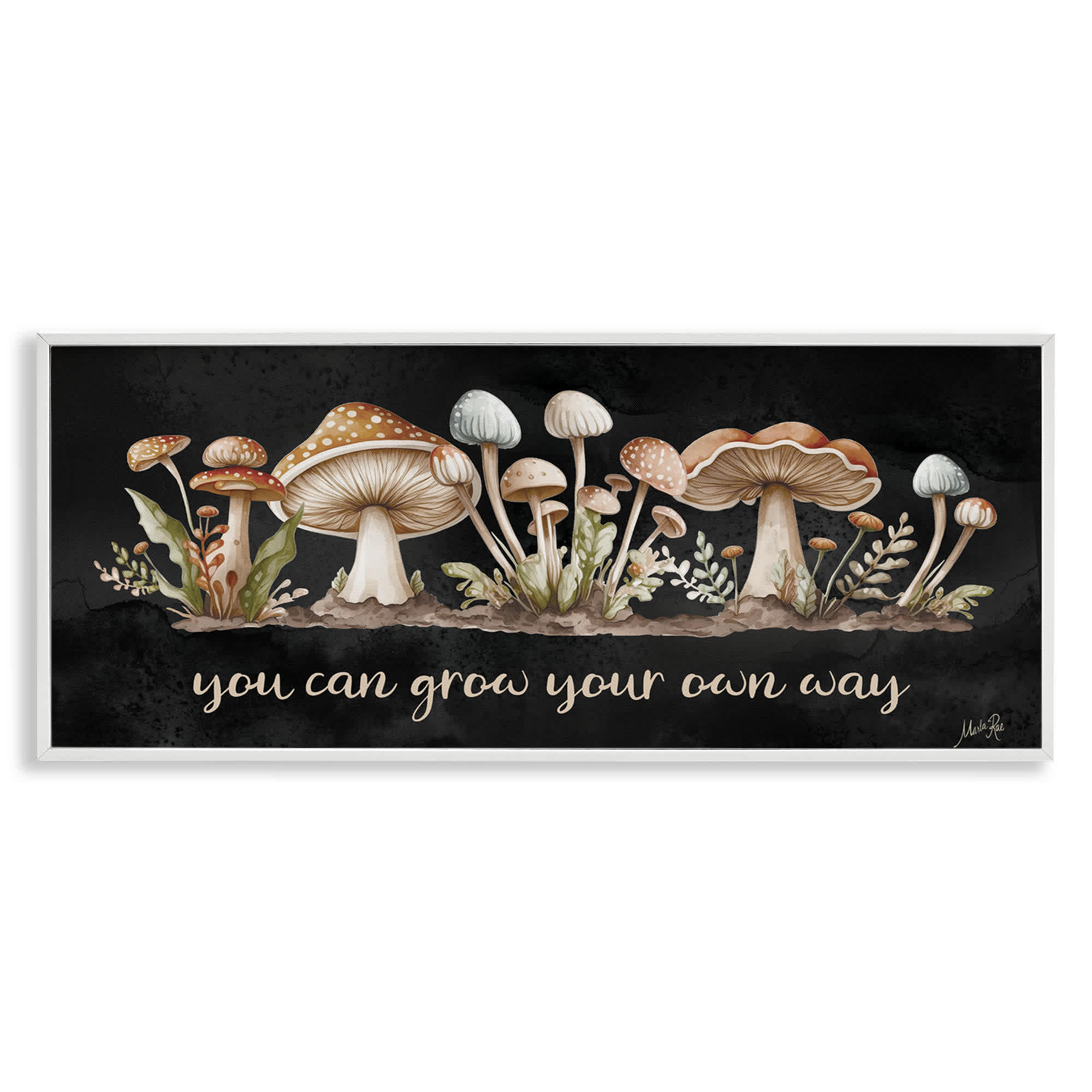 Stupell Industries BT-604-WFR-13X30 Grow Your Own Way White Framed Giclee Art By Marla Rae 30 x 13