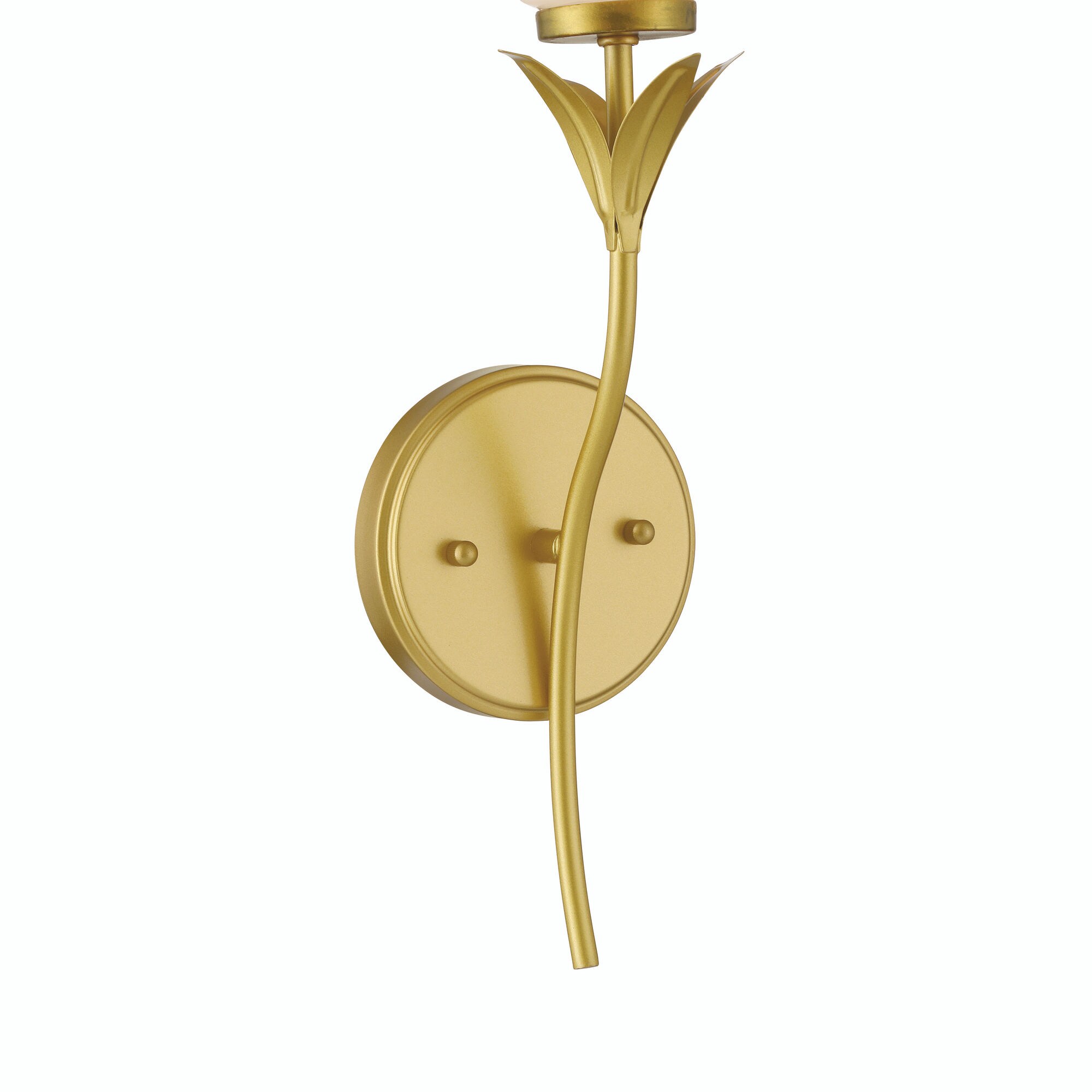 ACROMA 41401BGCA b090000 - View #6