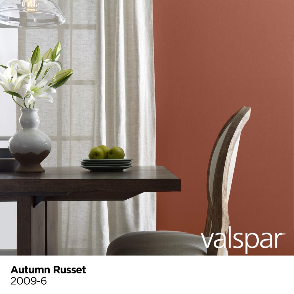 Valspar 2009-6 Paint-Samples - View #4