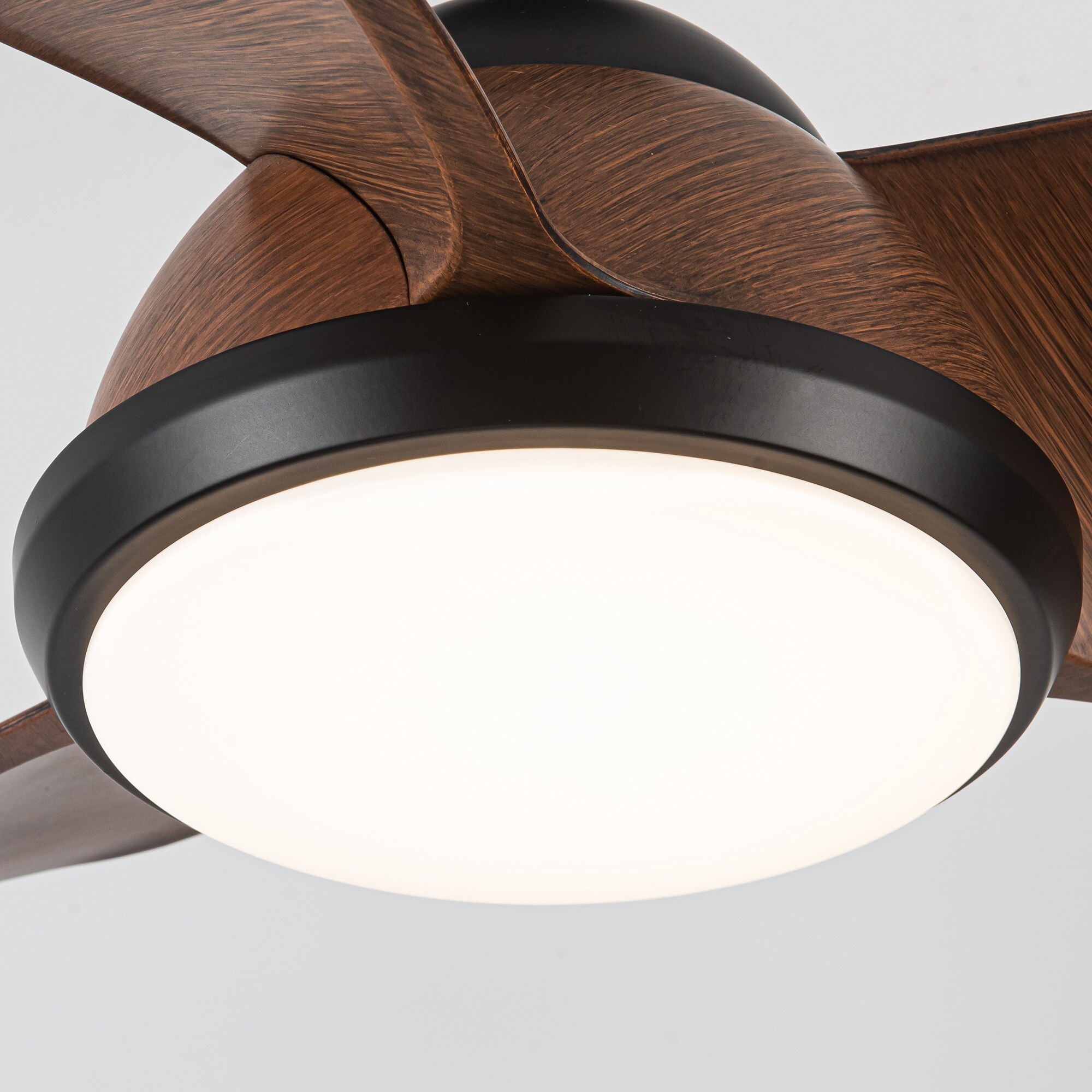 Parrot Uncle F6336BK110V Ceiling-Fans - View #18