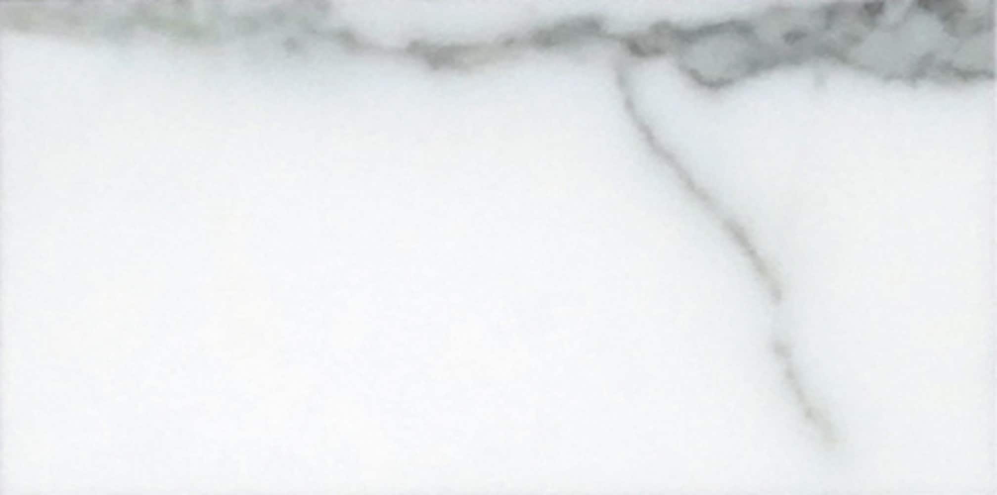 Apollo Tile APLFCT8836HASAMPLE Sample- Floor and Wall Tile White 3-in x 6-in Honed Subway Floor and Wall Tile