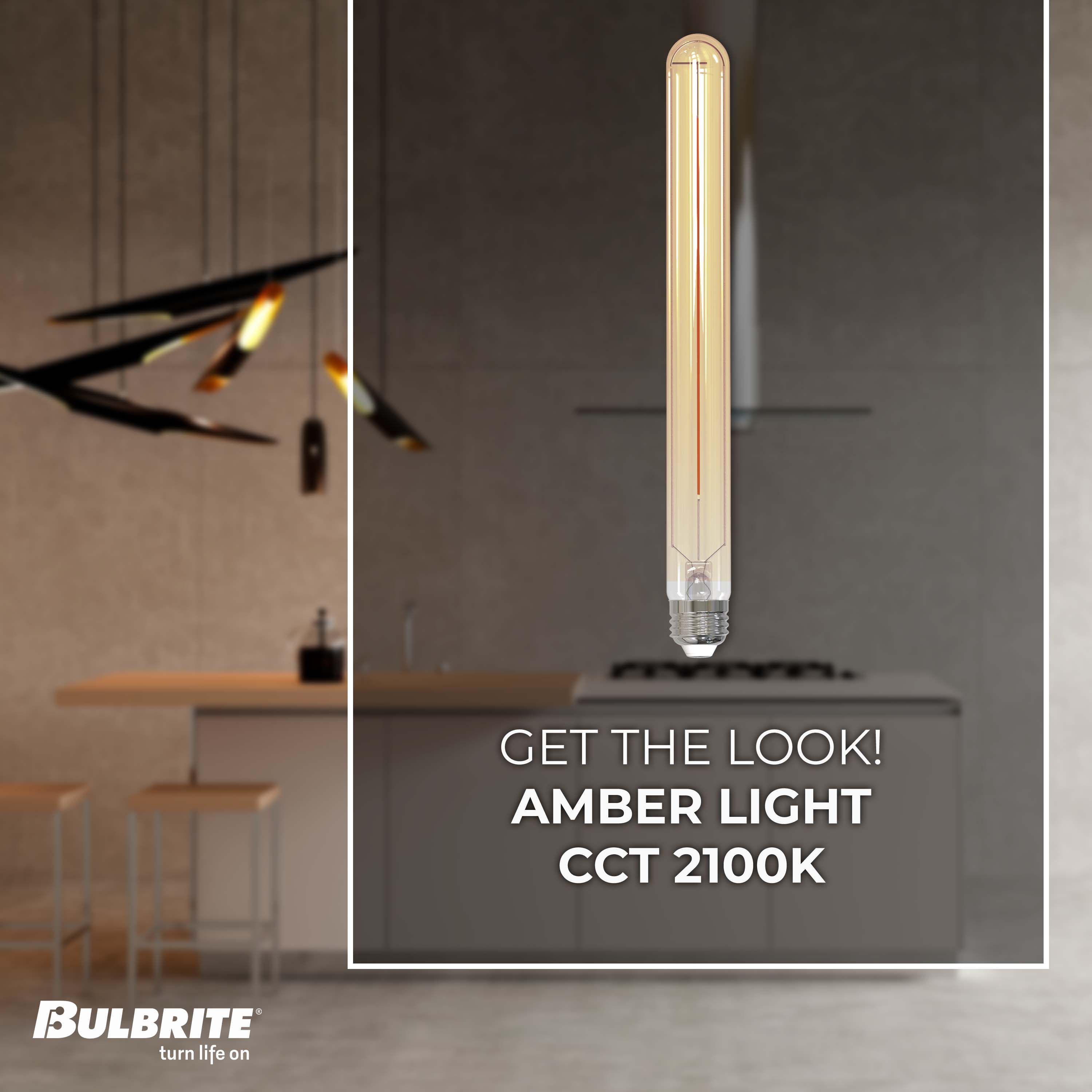 Bulbrite 862773 Dec-Led-Light-Bulbs - View #2