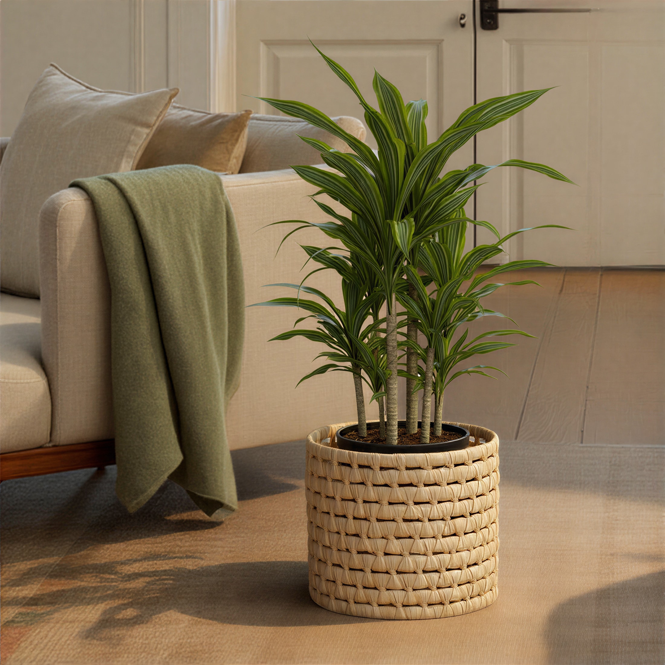 Household Essentials HE1230 Bins-Baskets - View #7